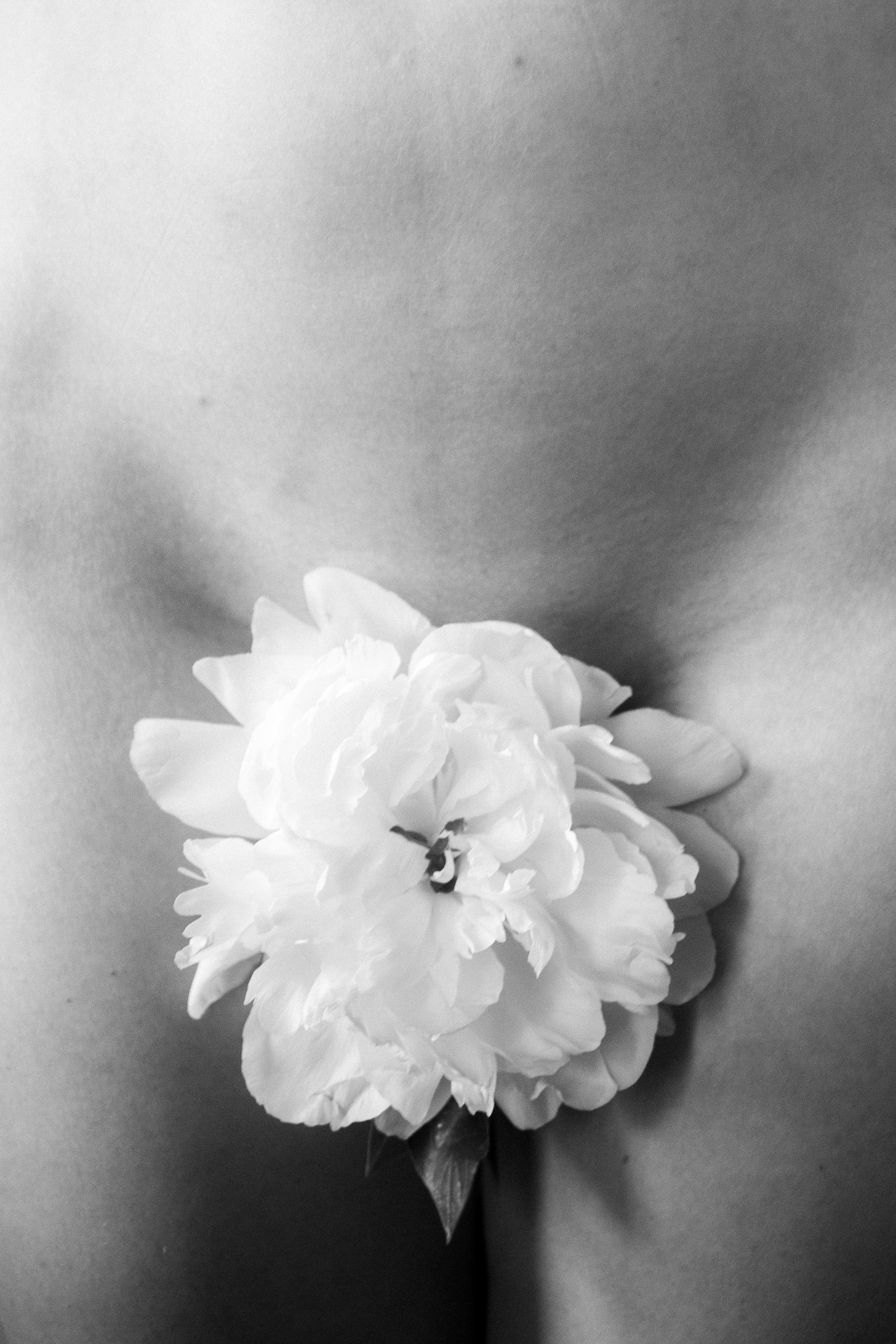 Book a shoot. Nude and Fine art photographer in Moscow Anna Fors