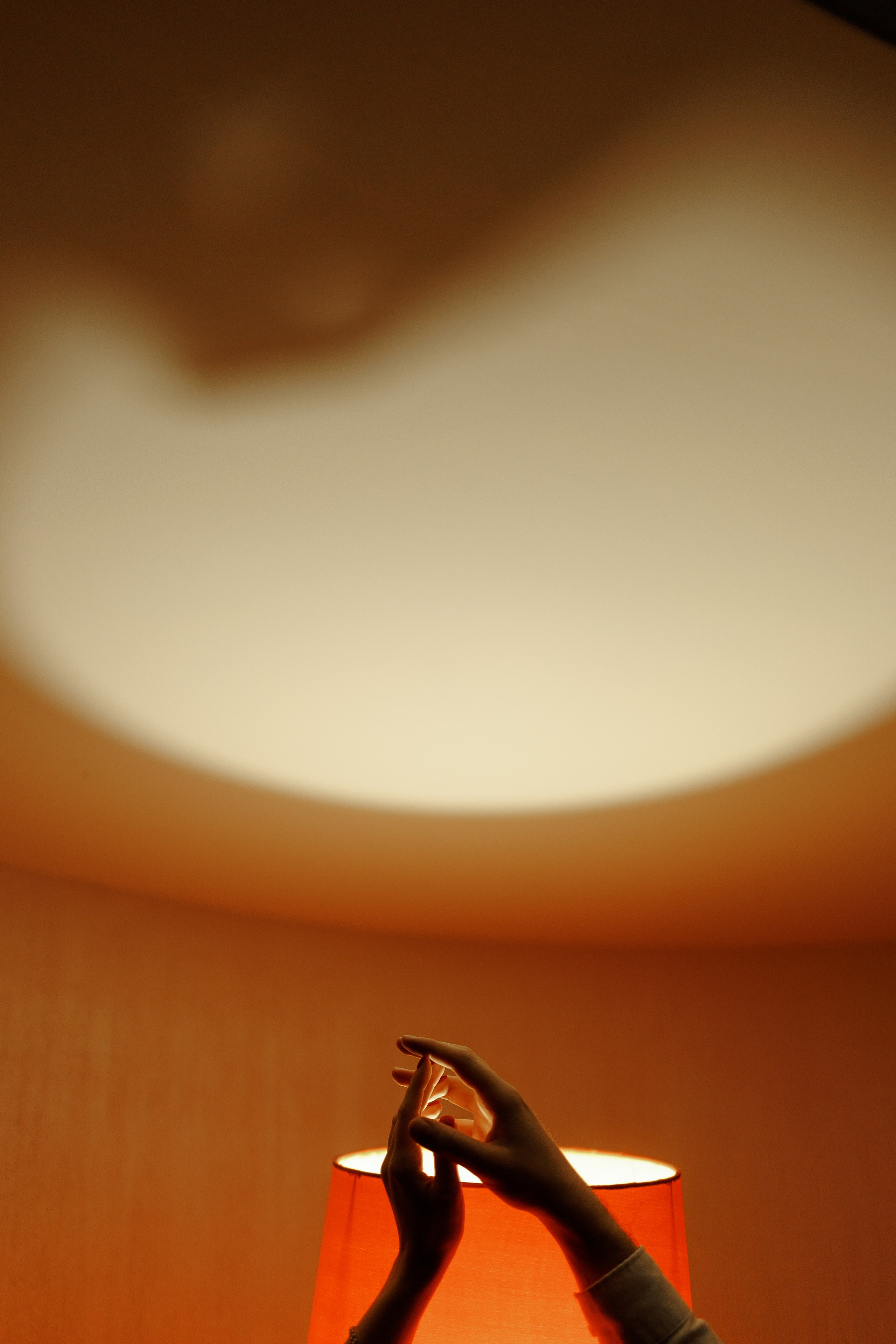 Свадебный и семейный фотограф в Твери, Москве, Санкт-Петербурге