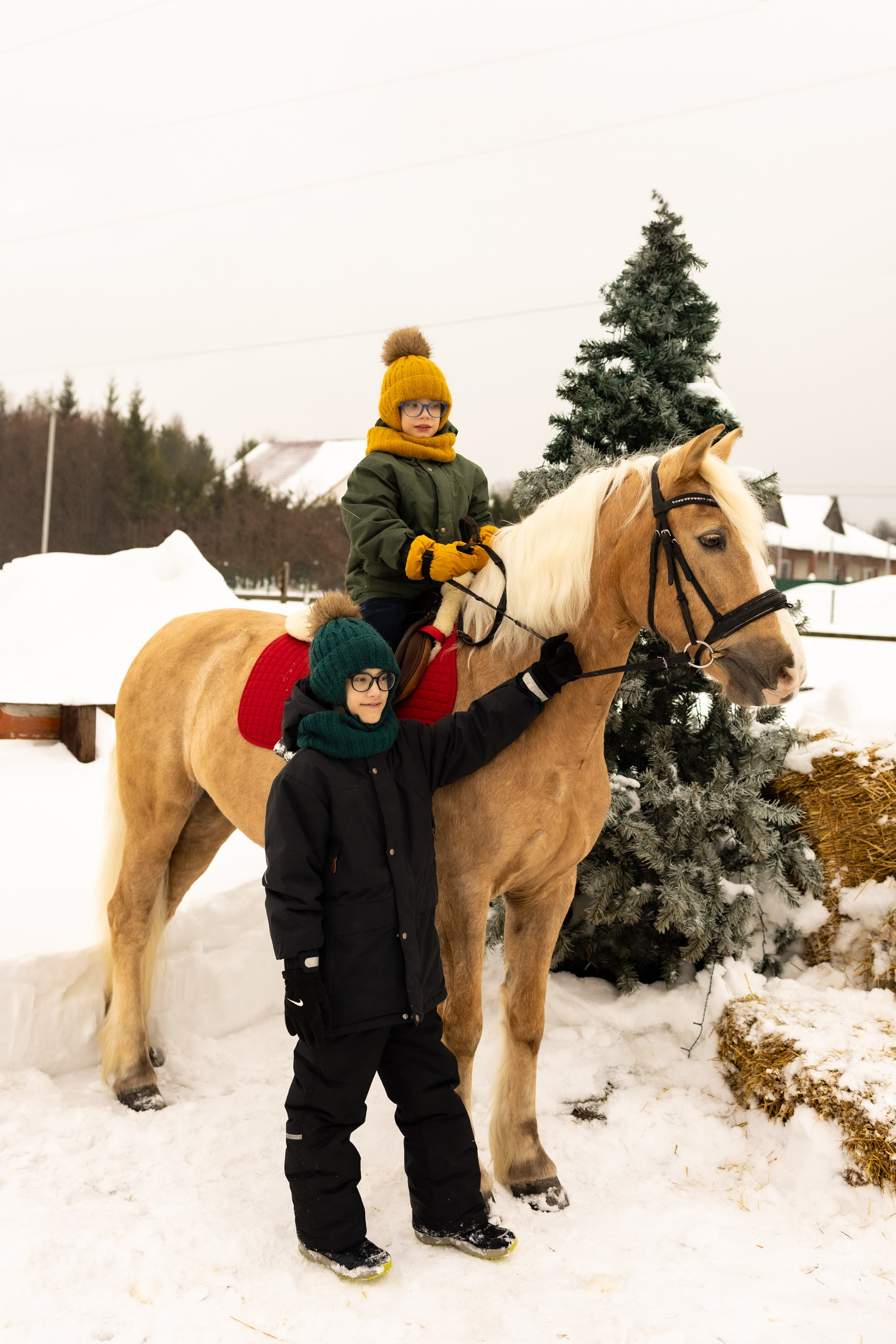 ЛОШАДИ для фотосессии. Конный фотограф в Москве Светлана Богначева