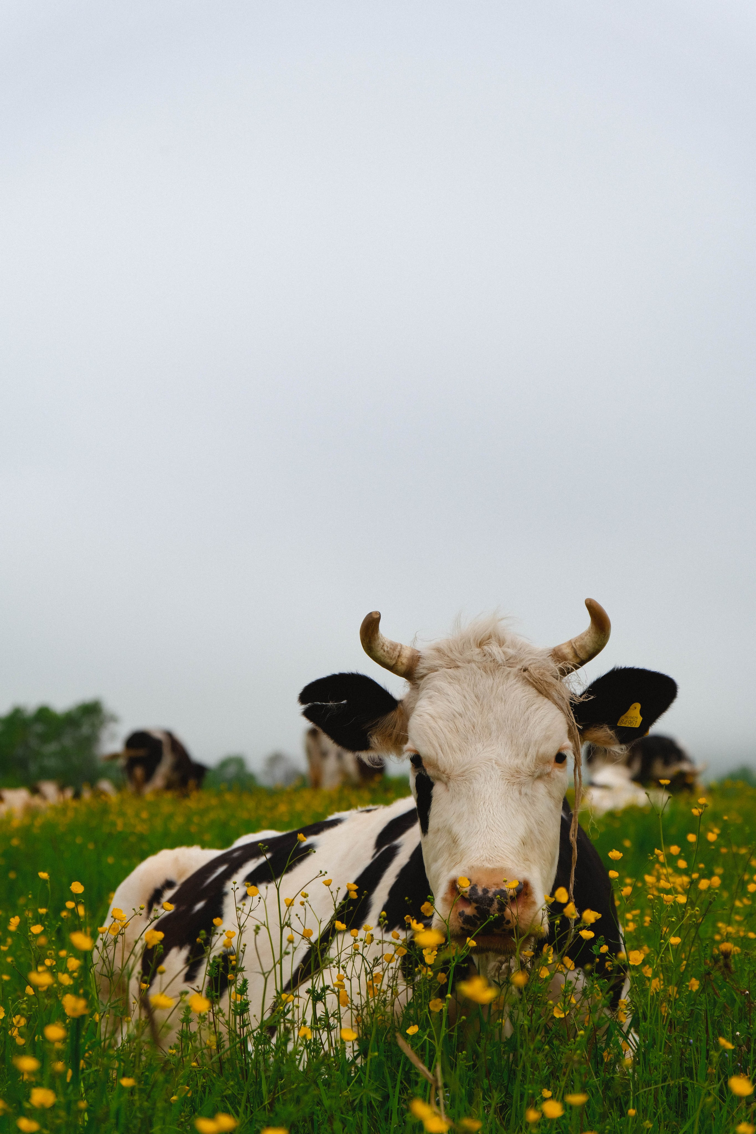 Сахалин + Итуруп| лето -осень