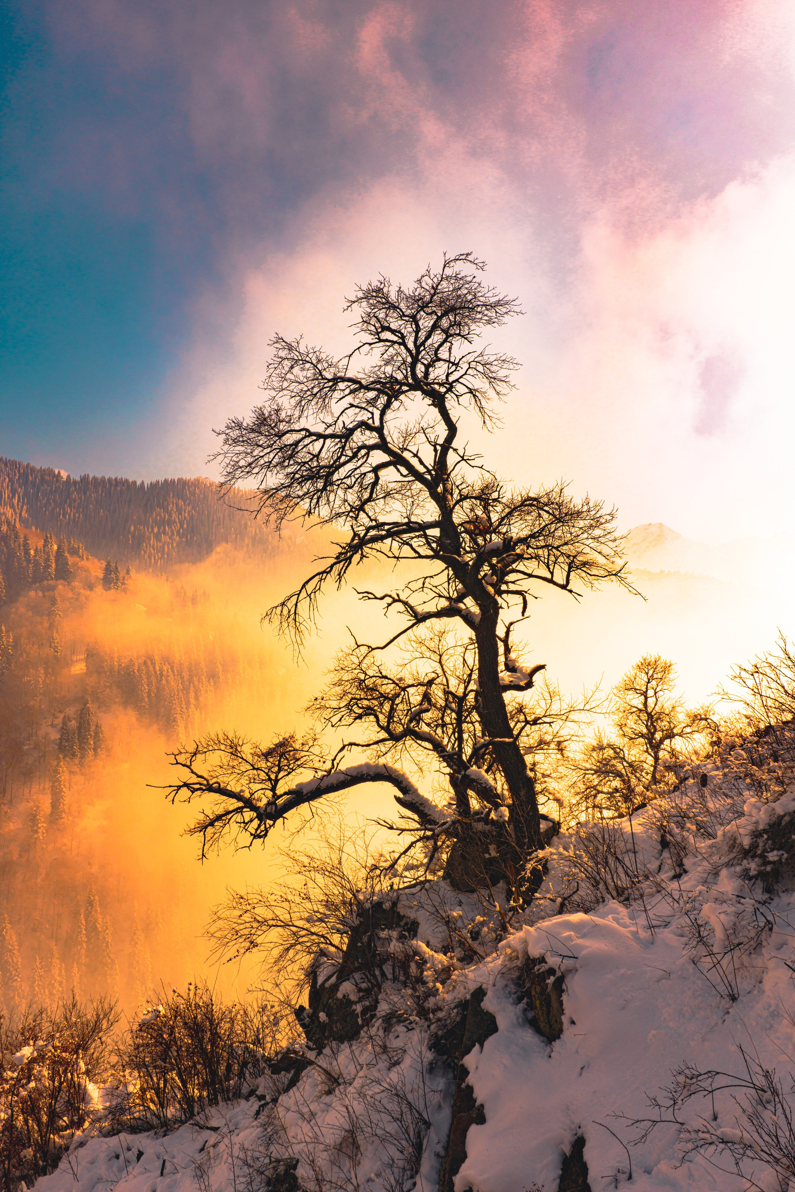 Дыхание высоты. VXN GALLERY