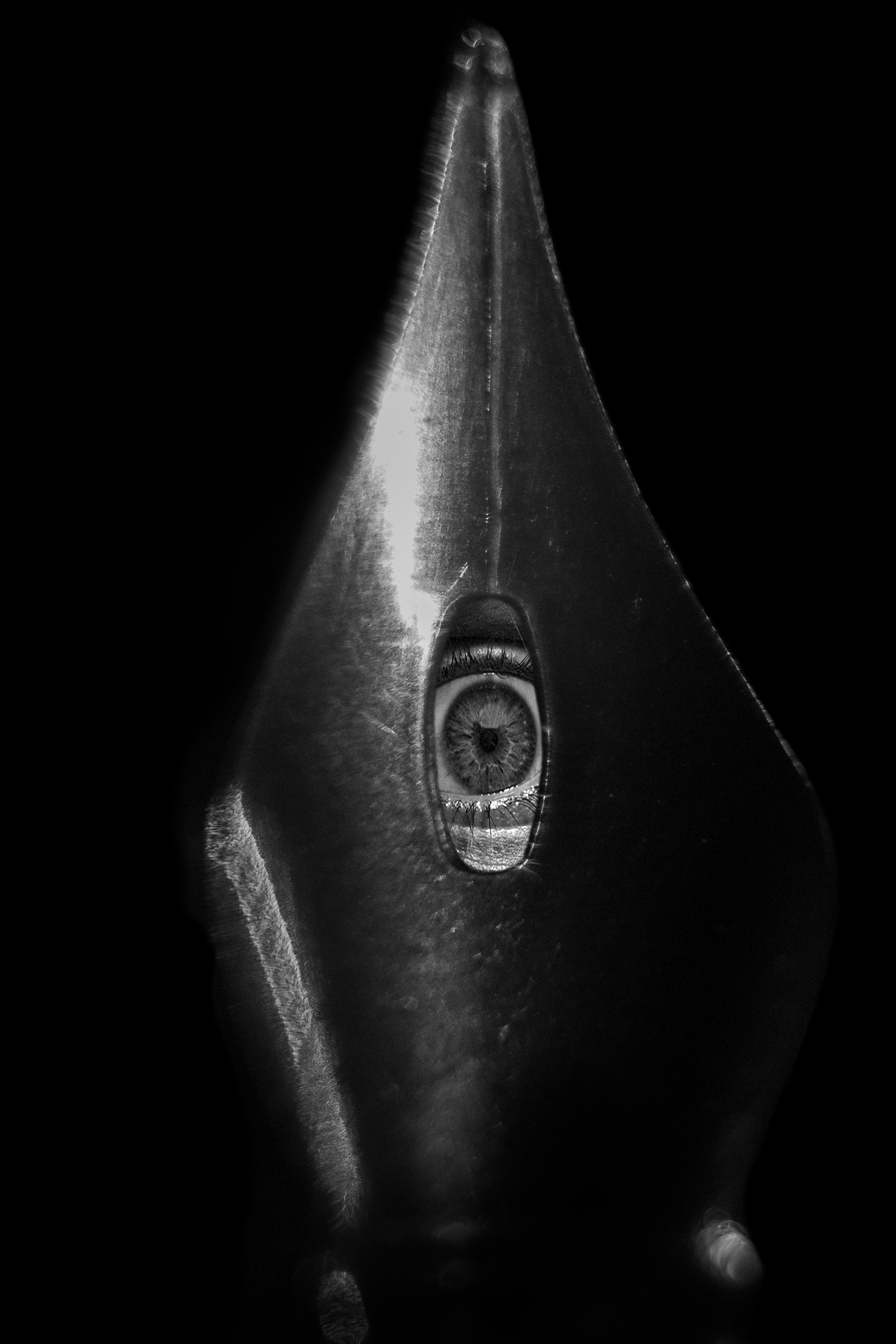 Георгий Тришаков