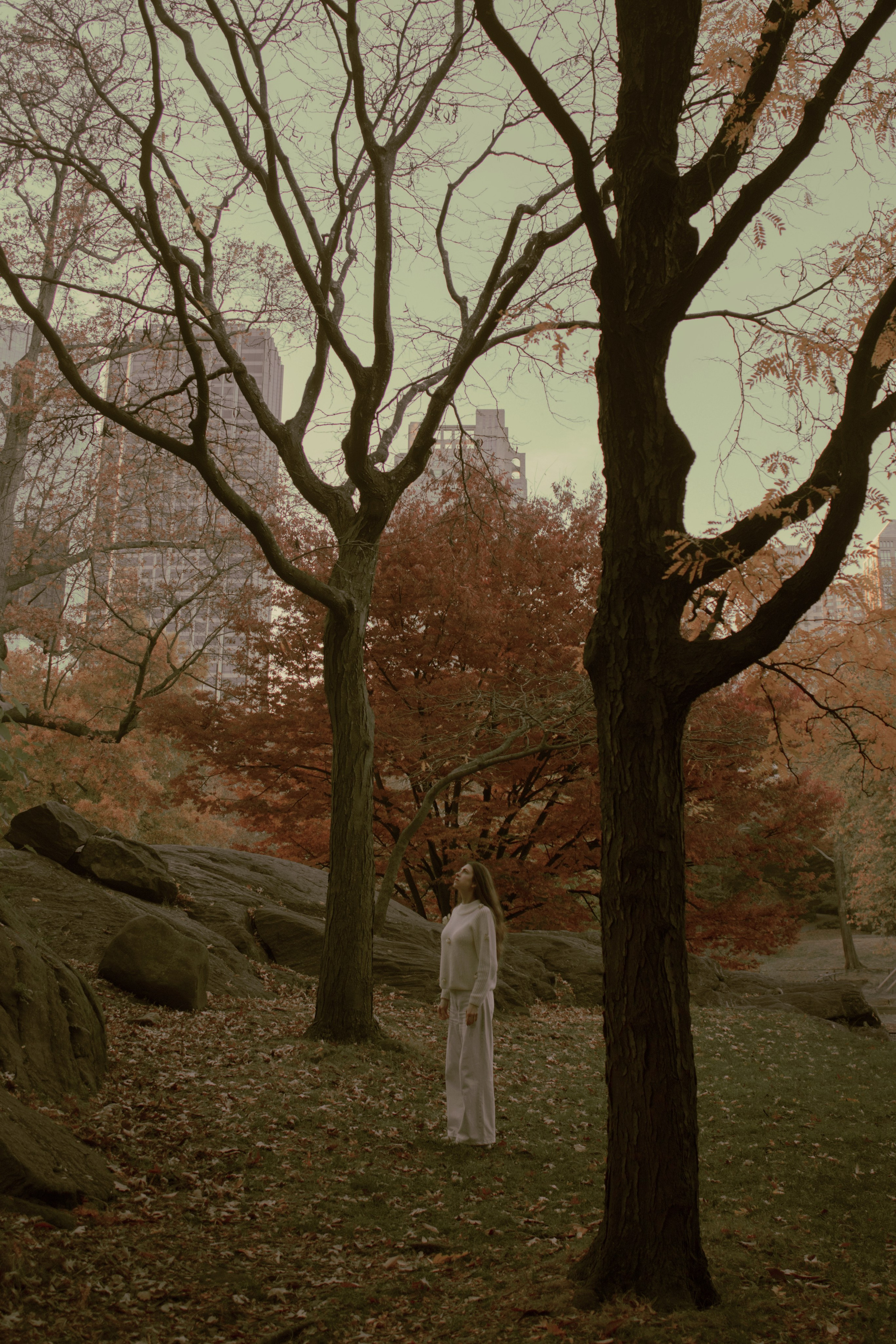 Прайс. Фотограф в Нижнем Новгороде и Москве Алина Абрамова