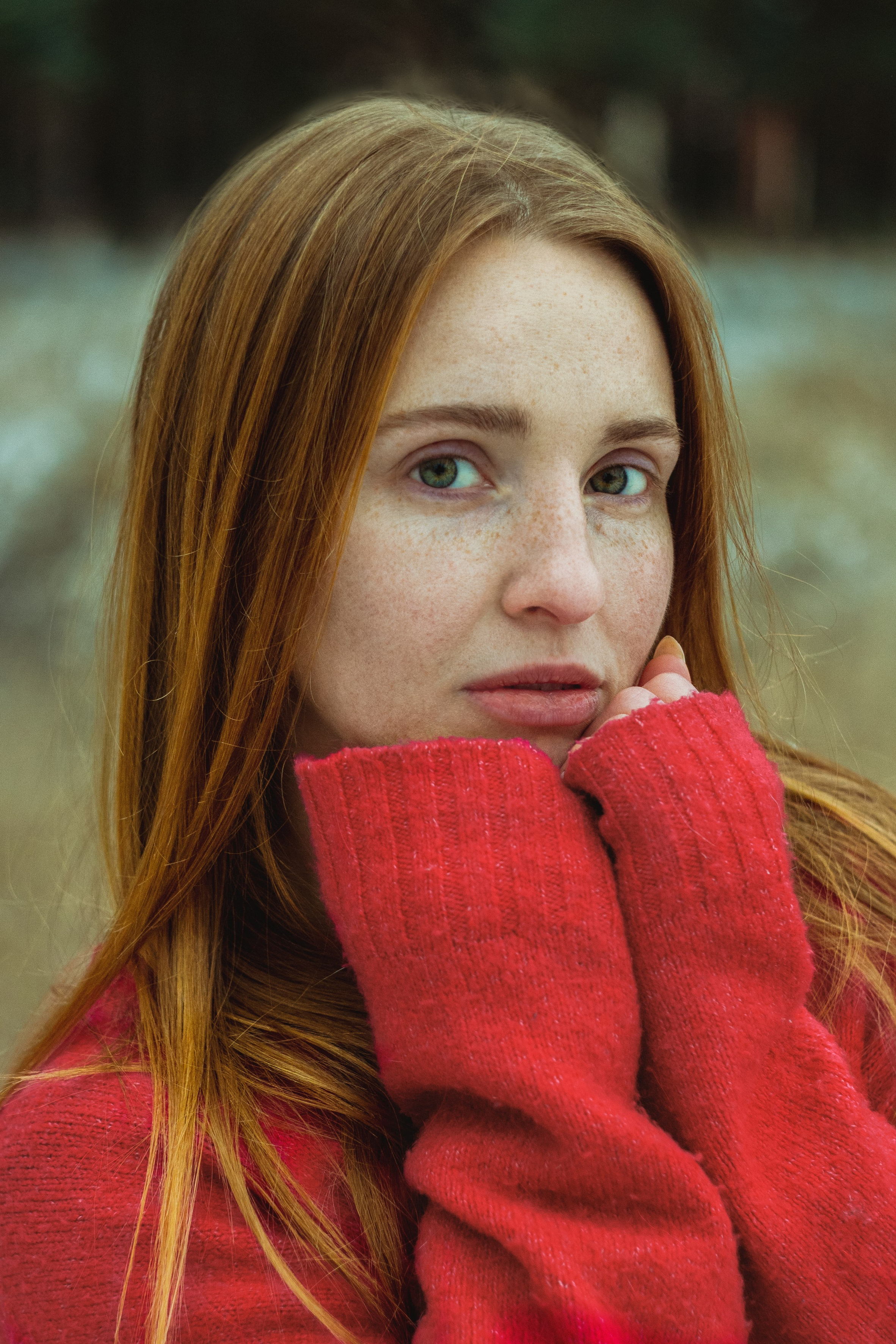 Услуги. Фотограф Тюркан Мария | Ярославль Москва