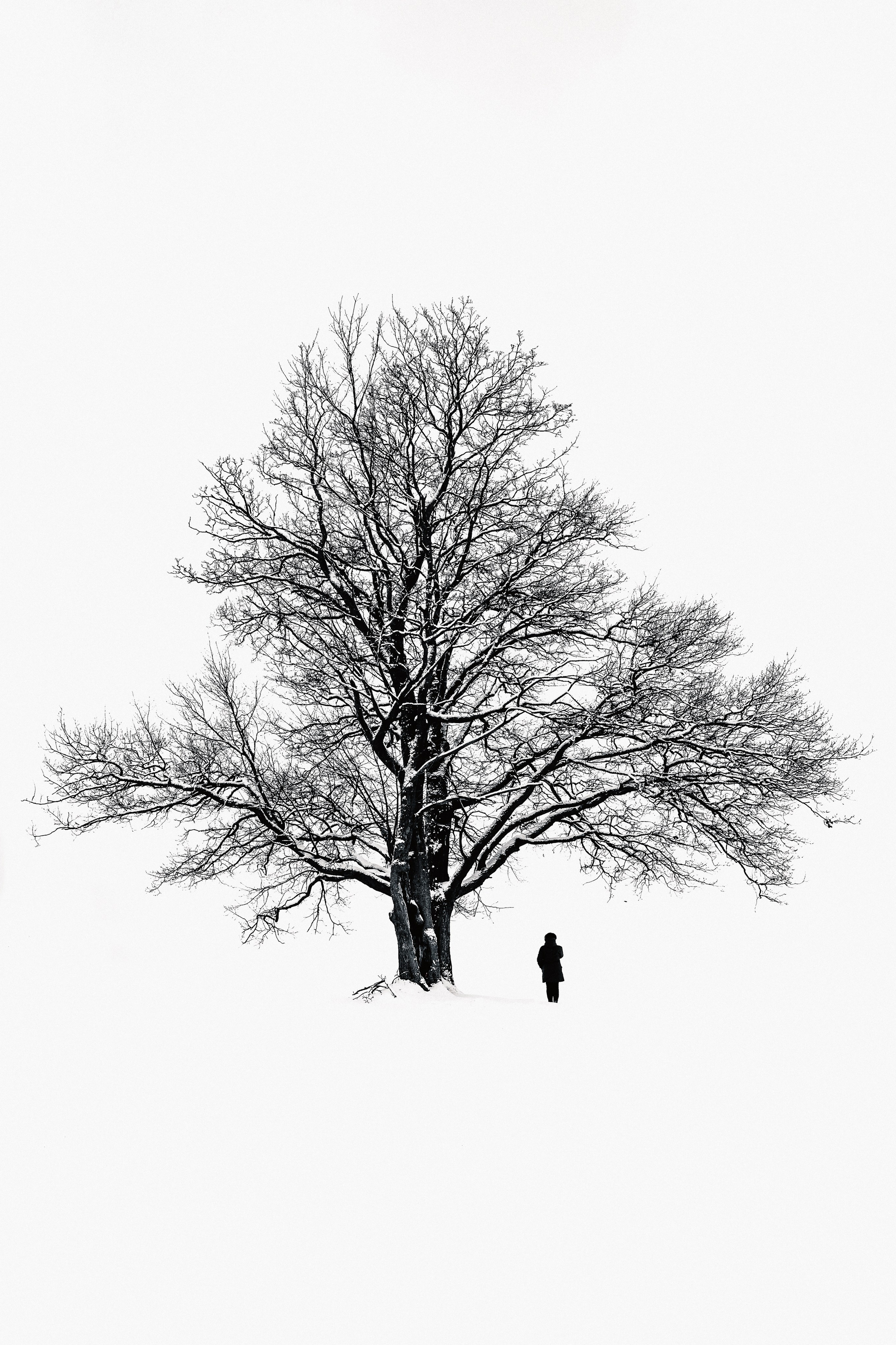 Черно-белая или цветная фотография: философия визуального выбора