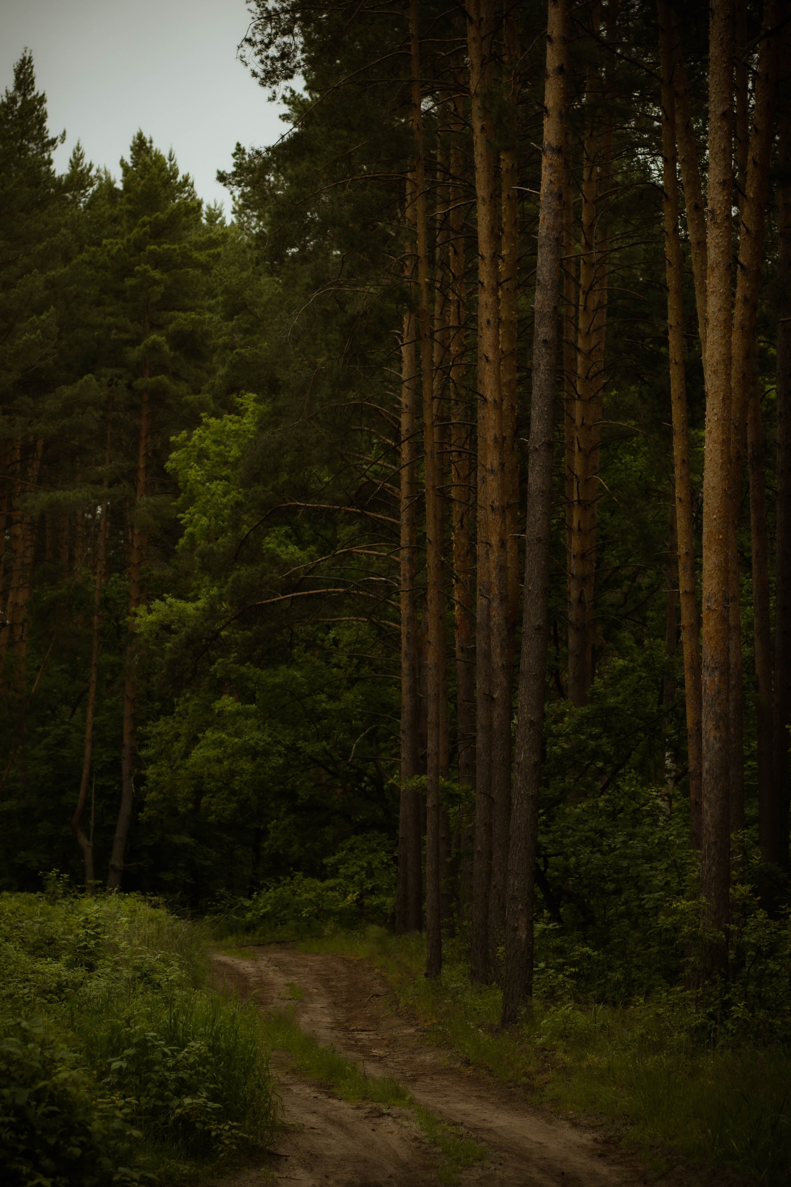 Контакты. Семейный и детский фотограф Майя Гришина