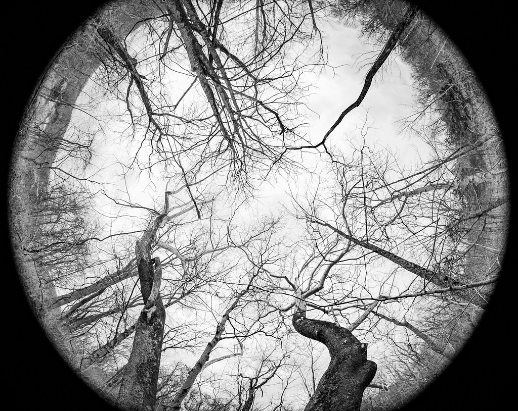 Объективы: фишай. PHOTO COMMUNITY #SBERTEAM