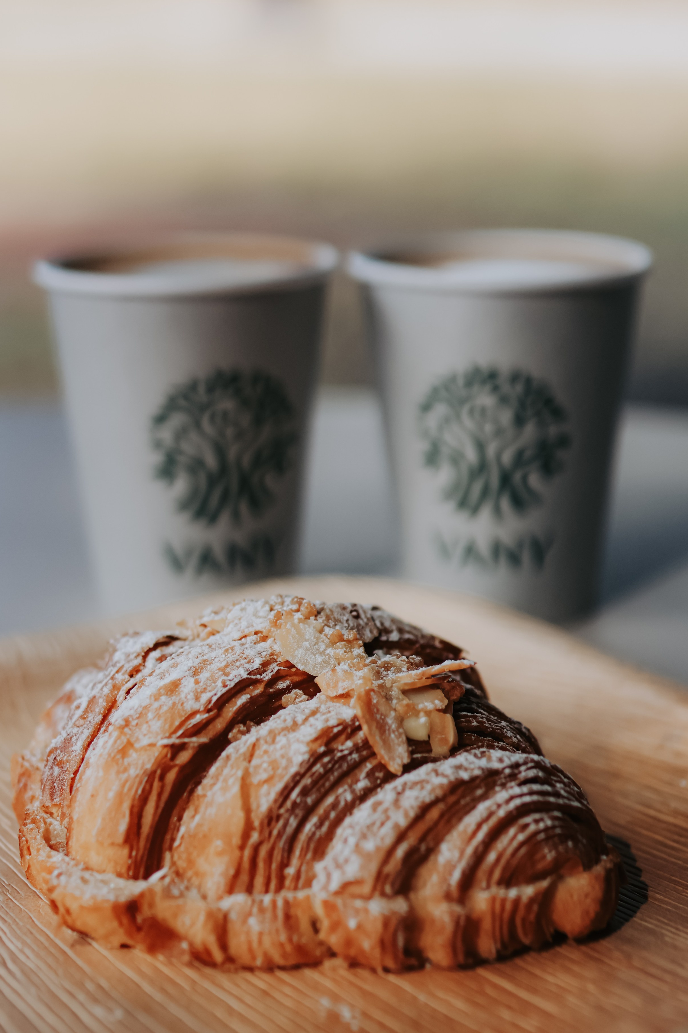 Prices. Photographer in Israel Alice Milchin