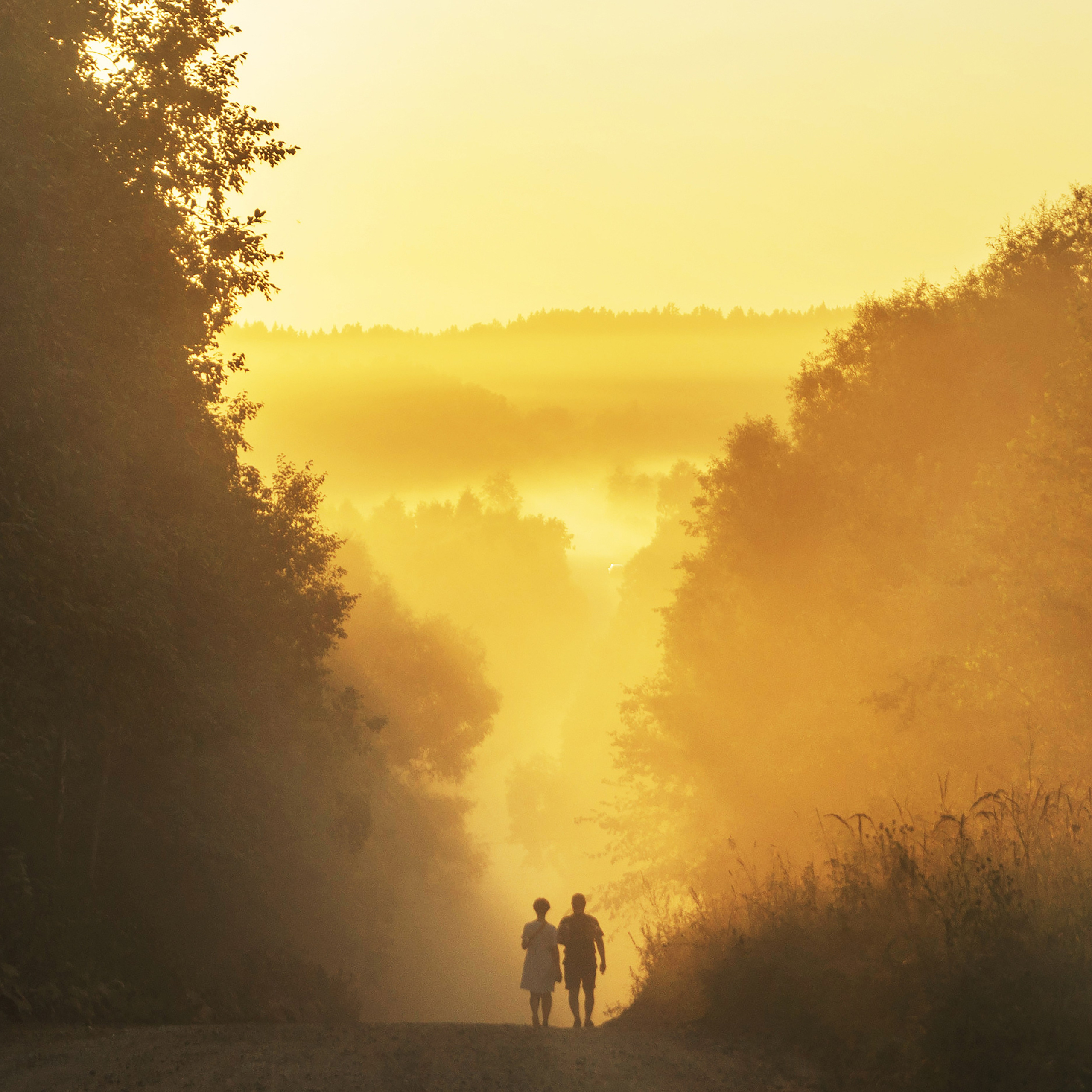 Точка равновесия. Арт-фотография, терапевтическая фотография в Москве. Фотограф Анна Ермолова