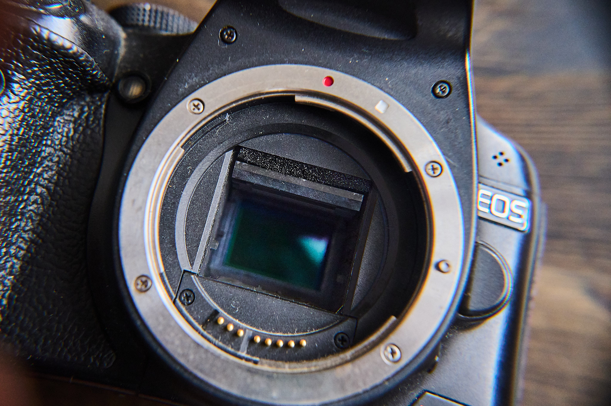 Страхи фотографов и видеографов. Фотосъемка и видеосъемка в Калининграде Liveemotion.pro