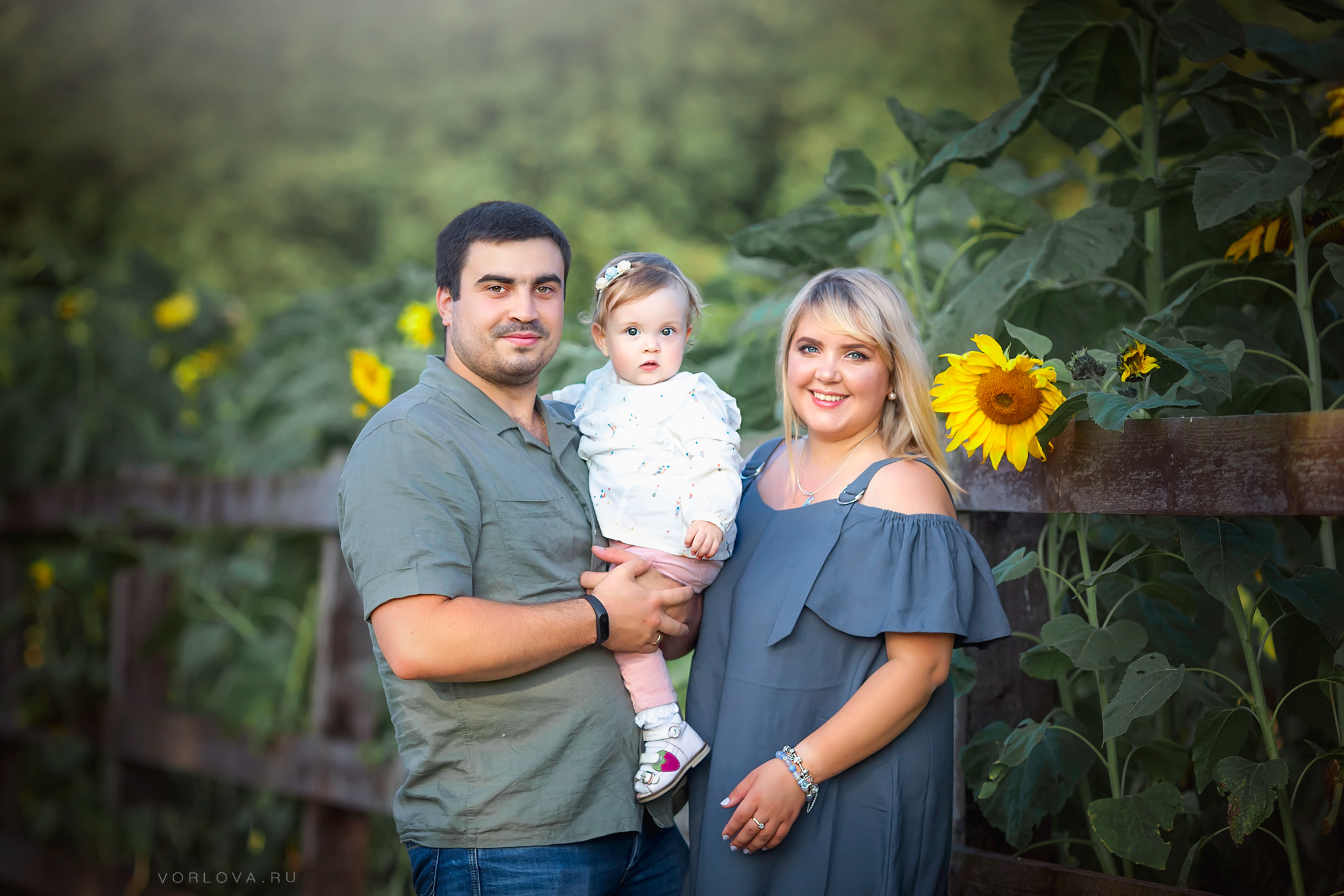 семейная фотосессия в подсолнухах