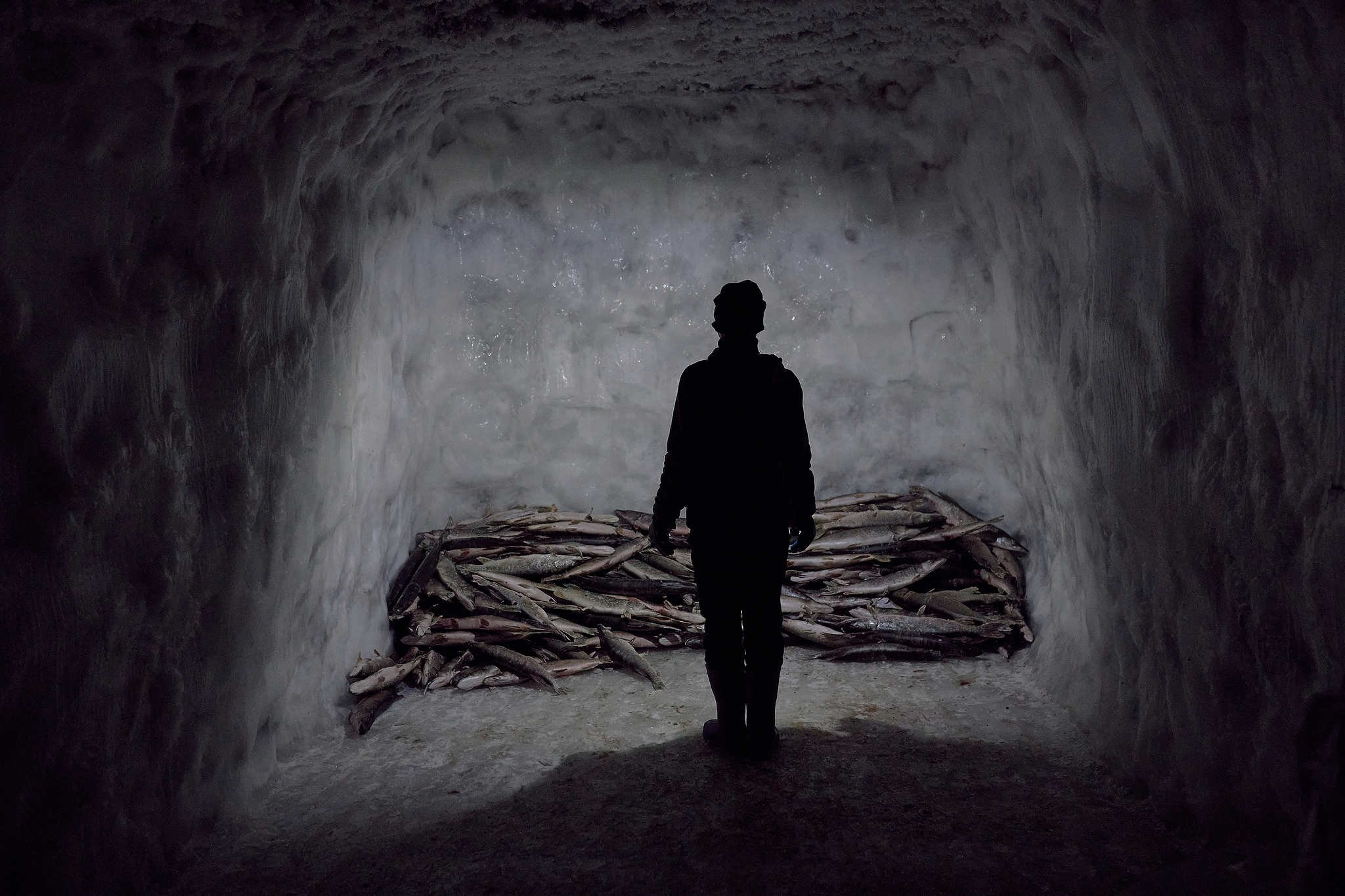 Интервью с победителем National Press Photographers Association 2026. Слава Лю-Фа. Репортажный фотограф в Сочи — Михаил Мордасов