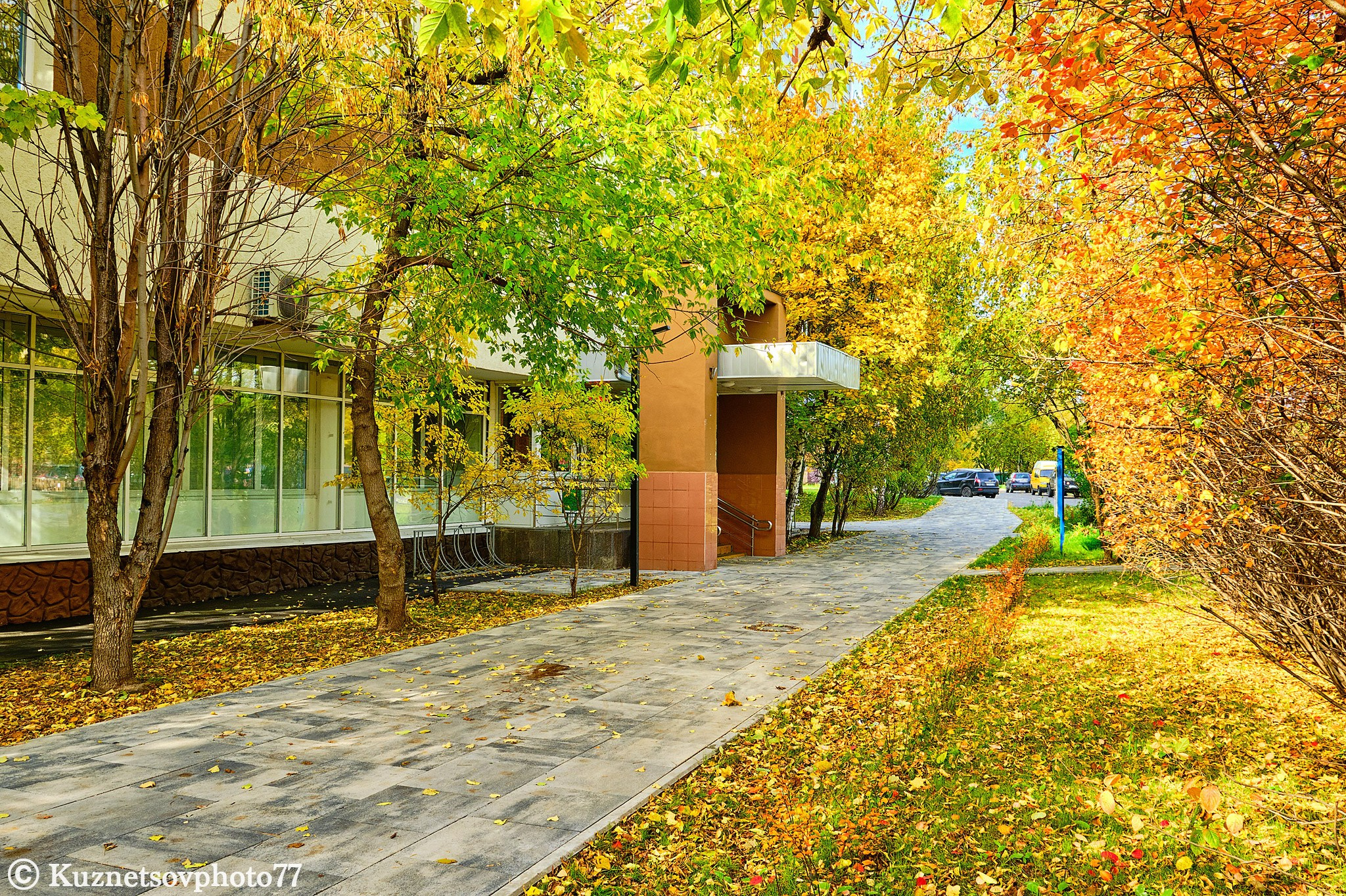 Контакты. Школа Боевых Искусств «МОН»