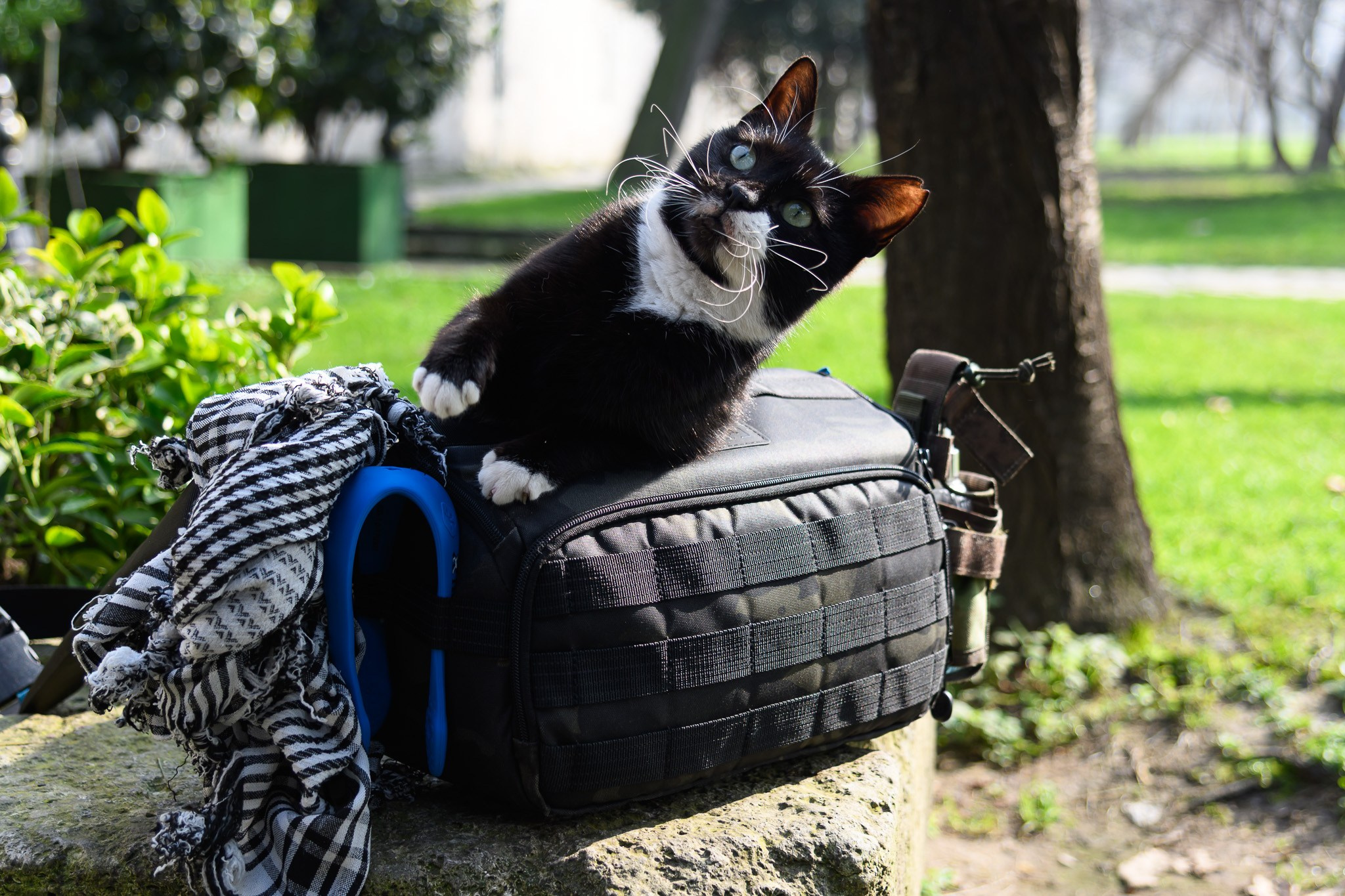 Первый пас — о дружбе, фотографии и немного футболе