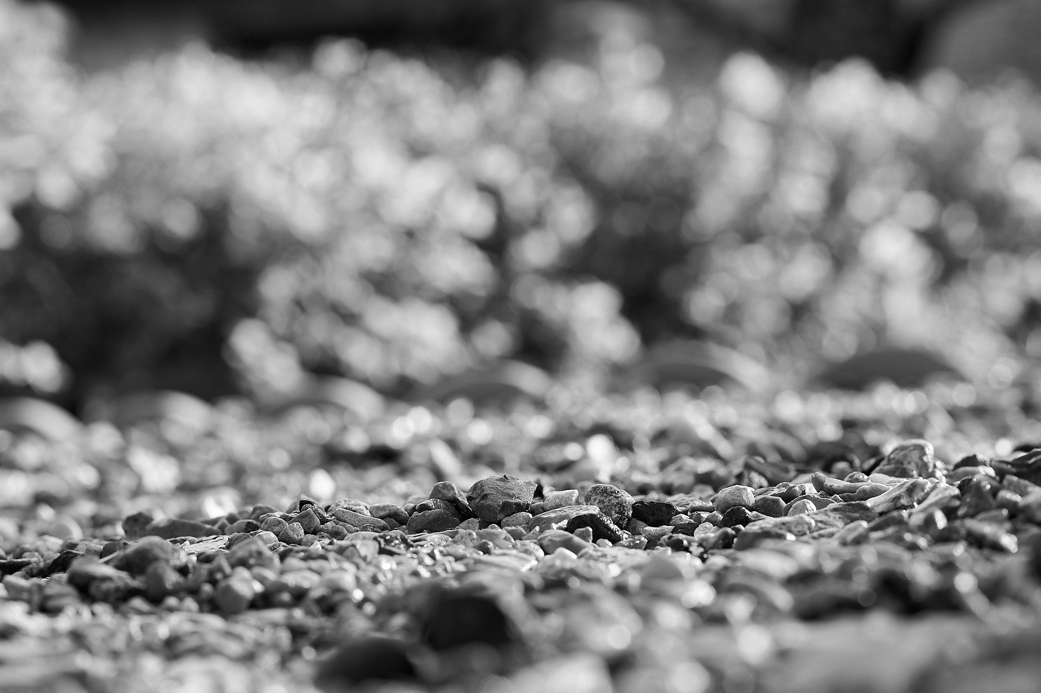 Обучение фотосъемке в Москве