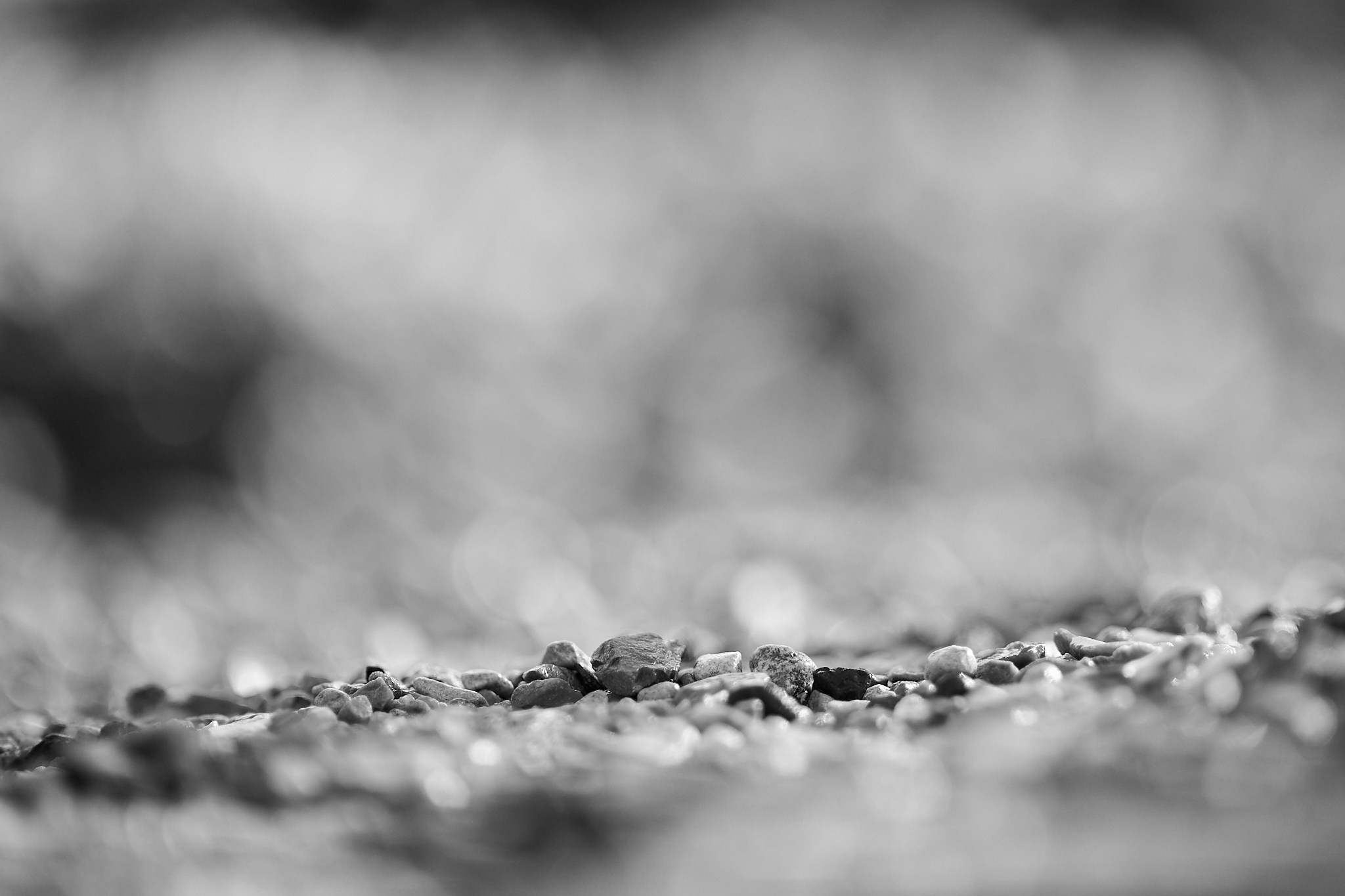 Обучение фотосъемке в Москве