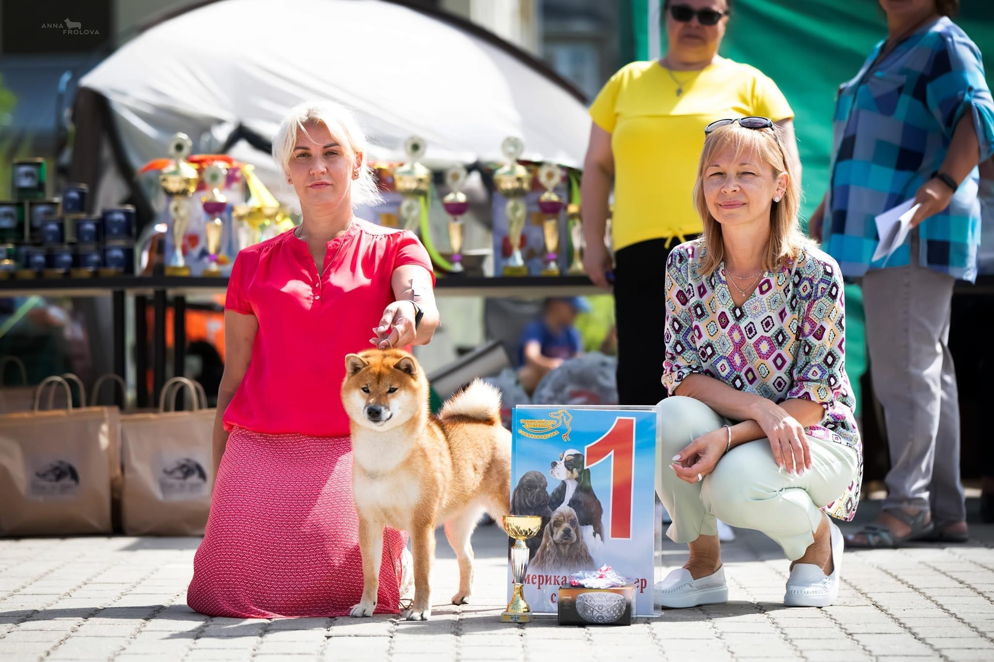 2022. SHIOMARU Shiba and Akita Inu Kennel