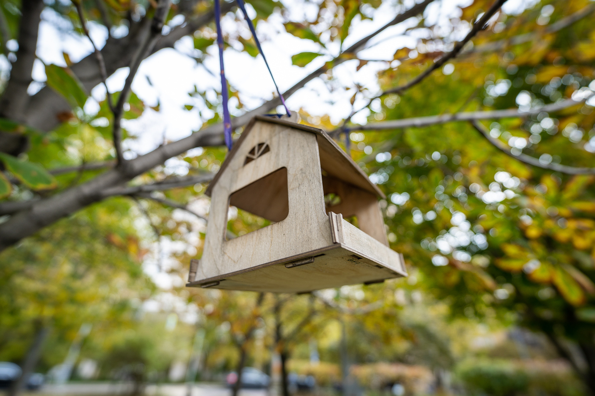 Деревянный скворечник на Ростовский набережной