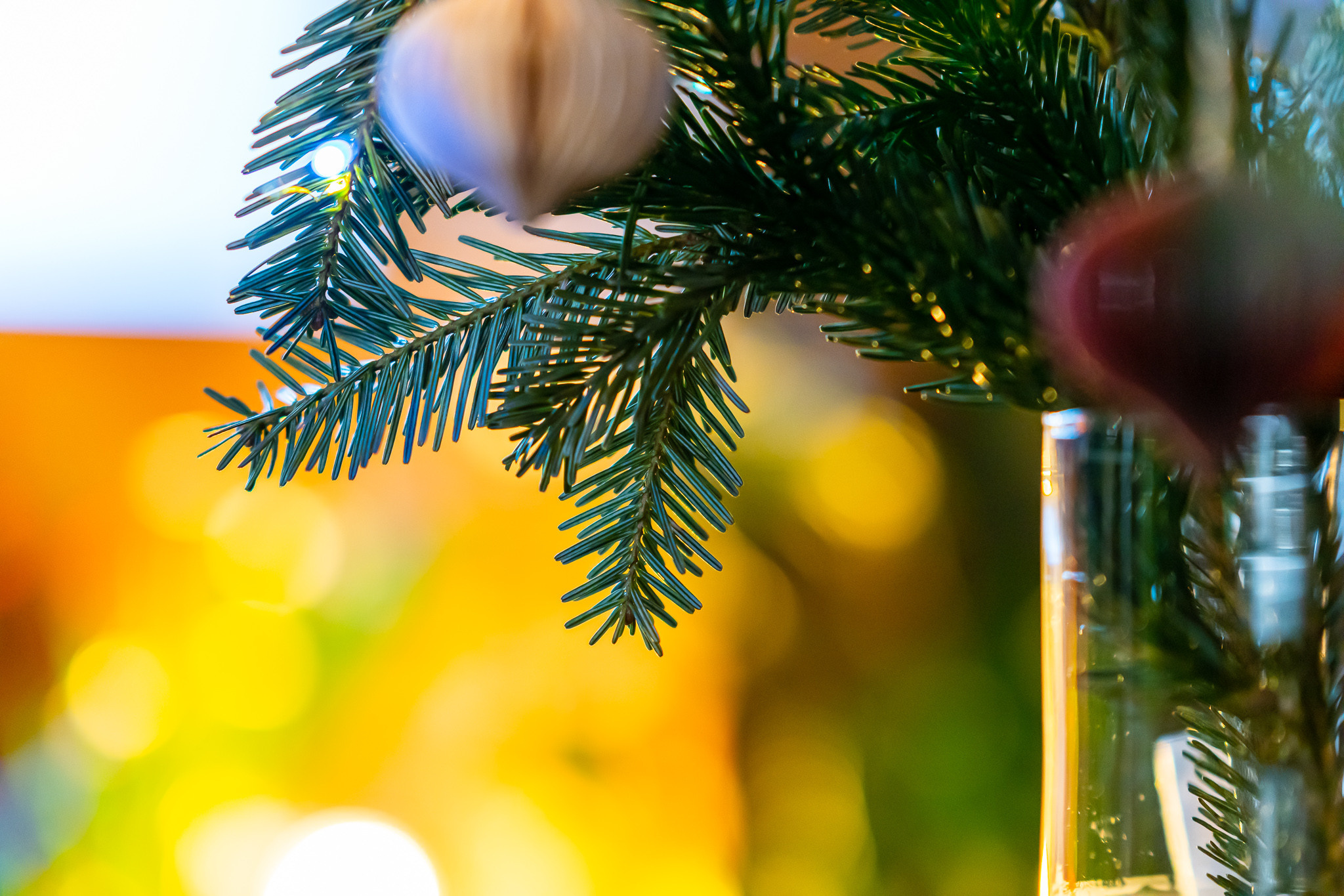 Новогодняя веточка ели