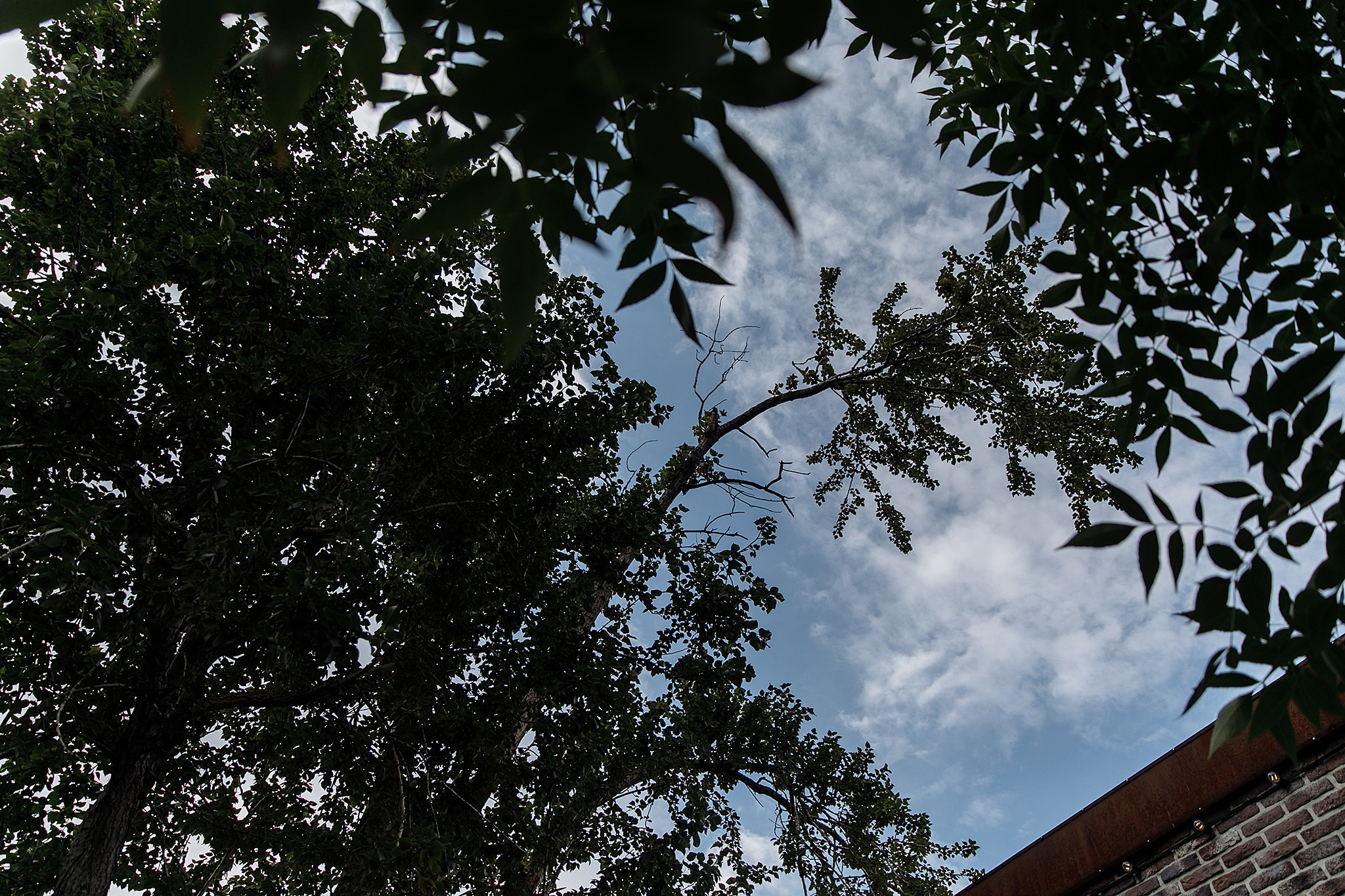 25 июля 2019. Анонс свадьбы. Фотограф Игорь Цаплин