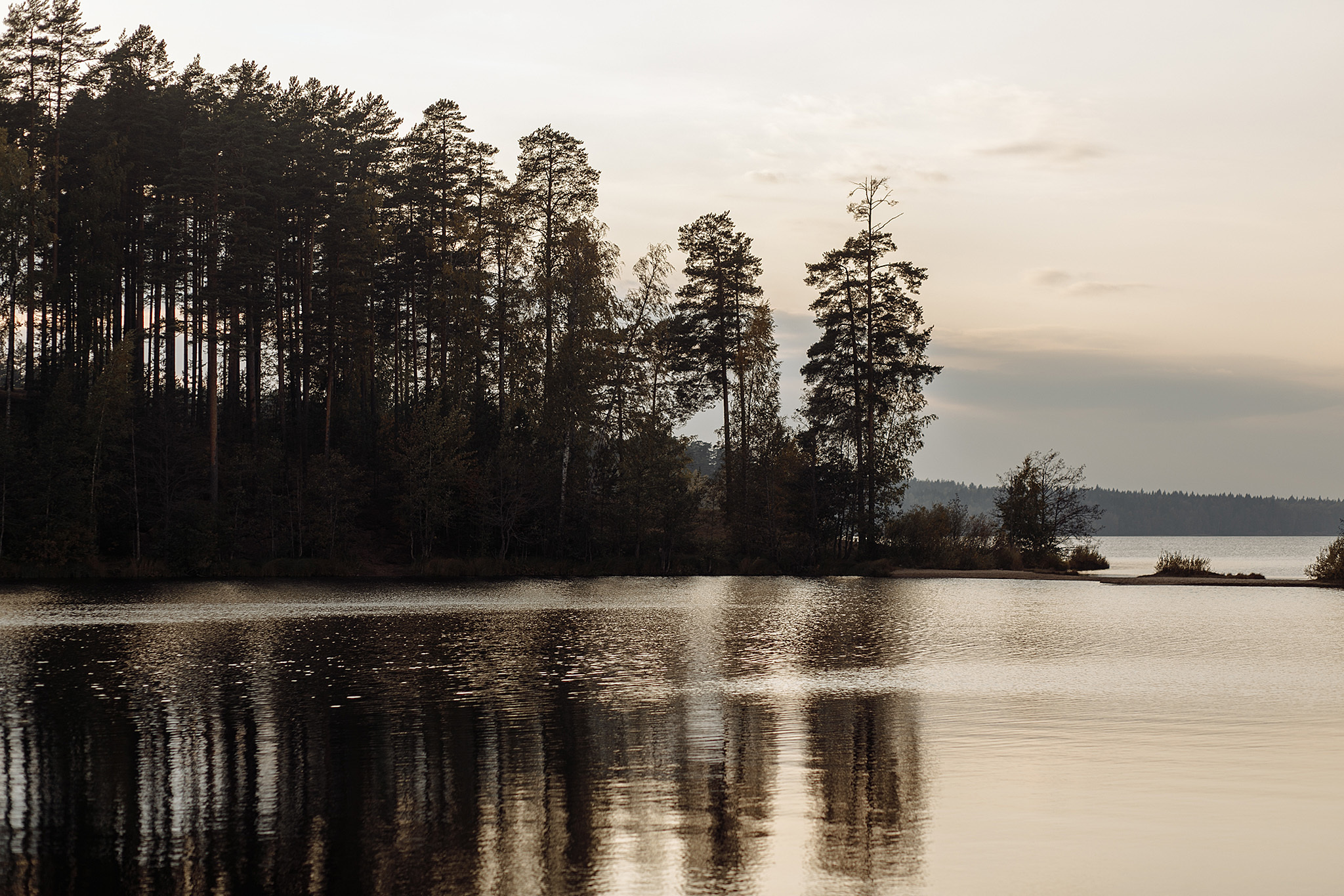 28 сентября 2019. Анонс свадьбы. Фотограф Игорь Цаплин