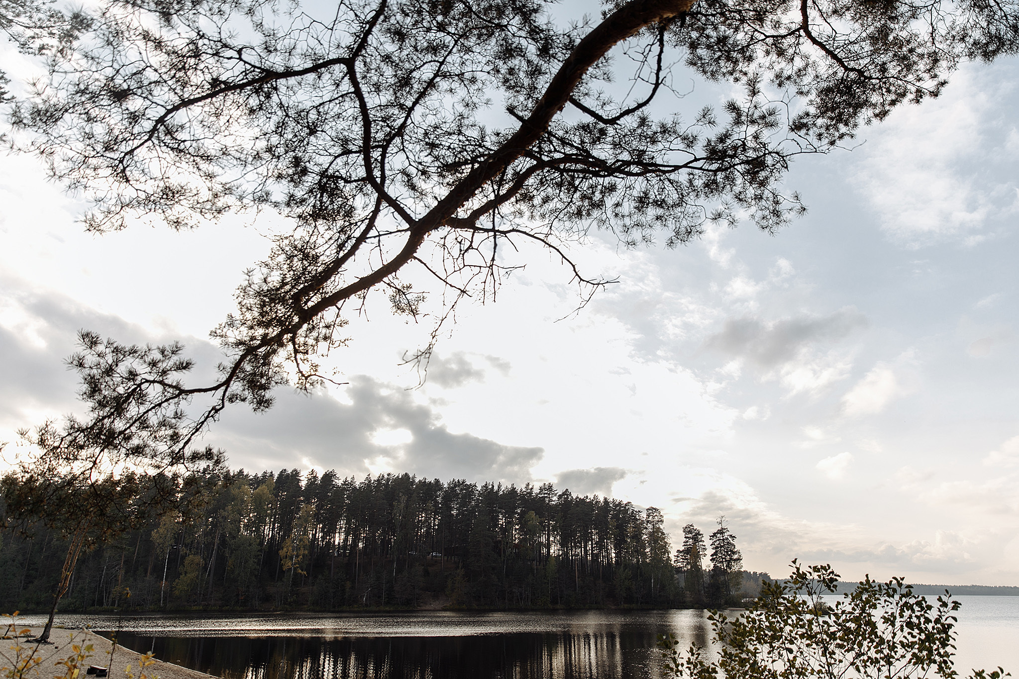 28 сентября 2019. Анонс свадьбы. Фотограф Игорь Цаплин