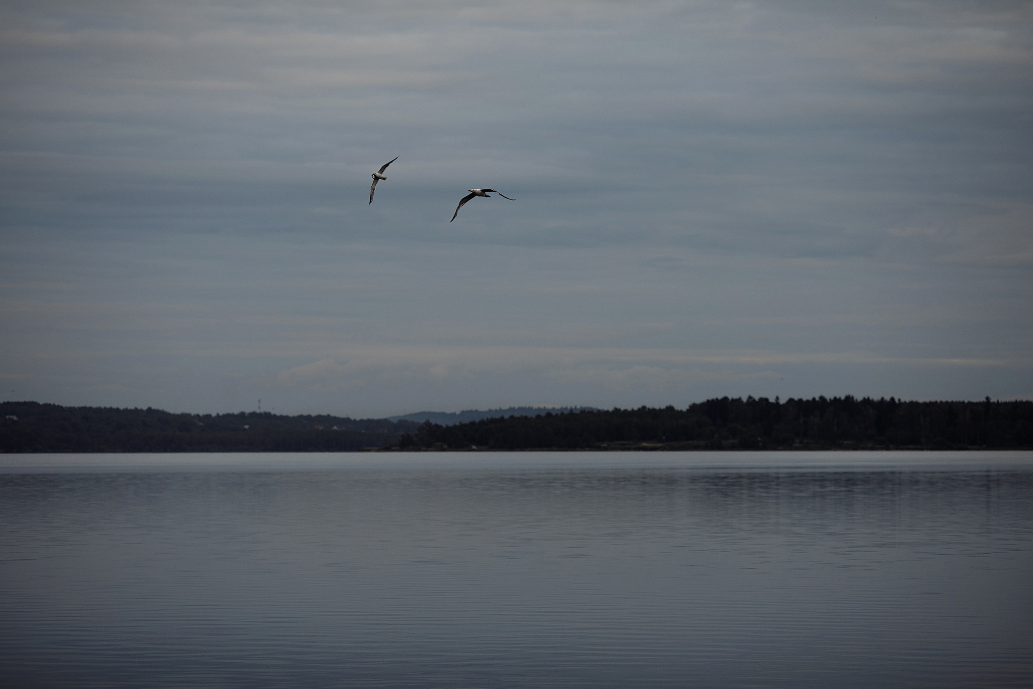Свадьба Игорей)) Анонс свадьбы Игоря и Яны. Фотограф Игорь Цаплин