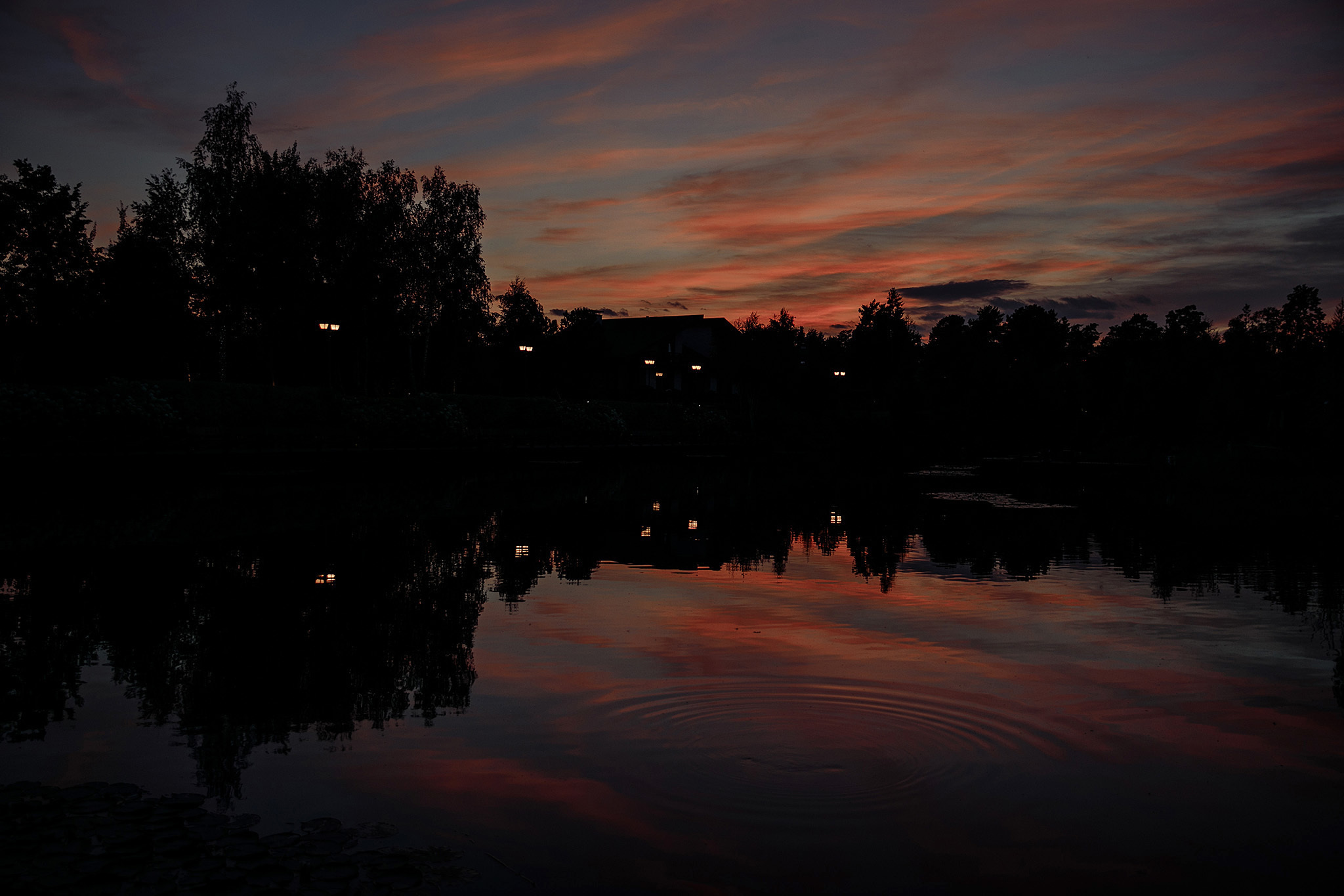 24 августа 2019. Анонс свадьбы. Фотограф Игорь Цаплин