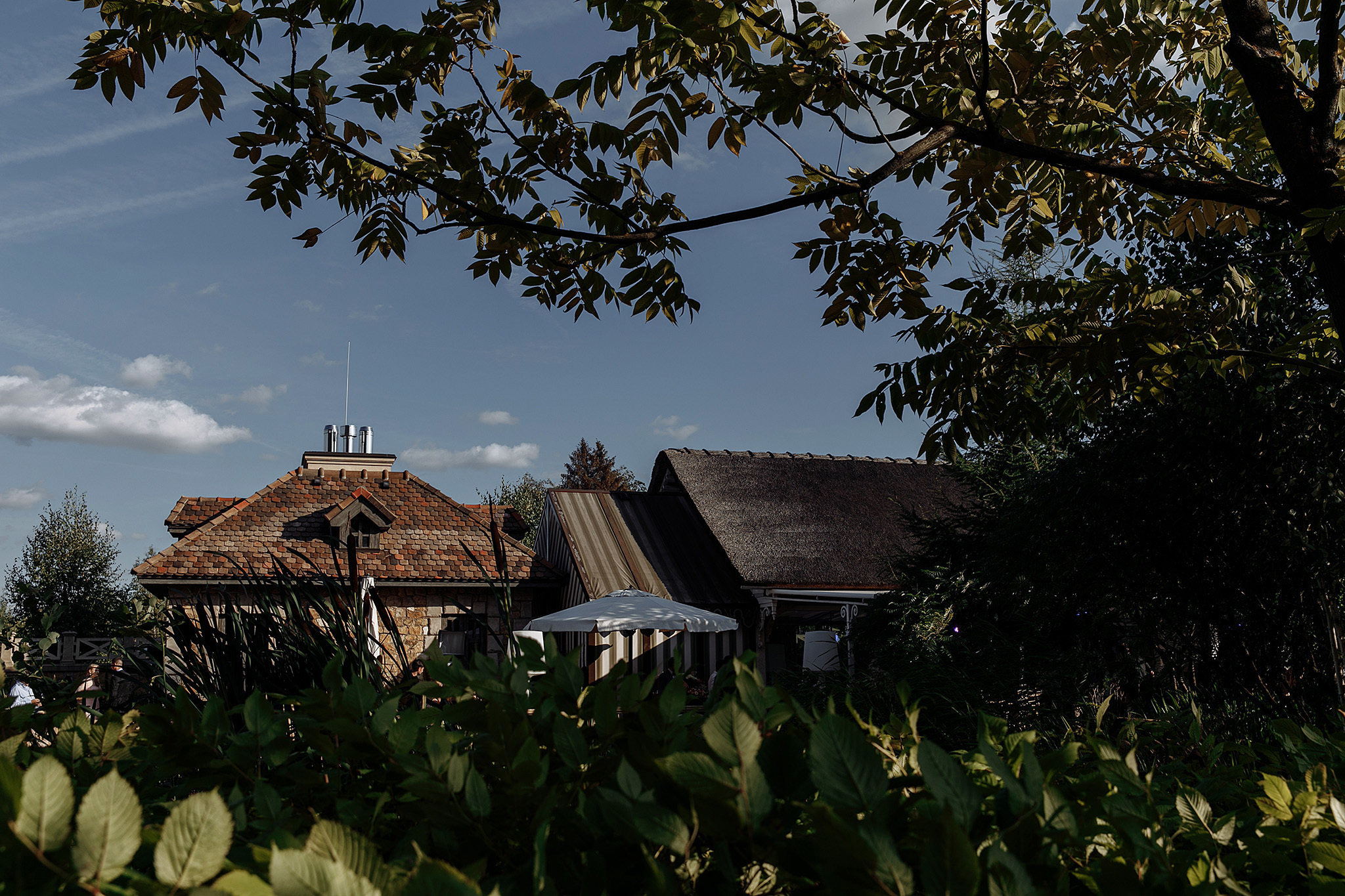 24 августа 2019. Анонс свадьбы. Фотограф Игорь Цаплин