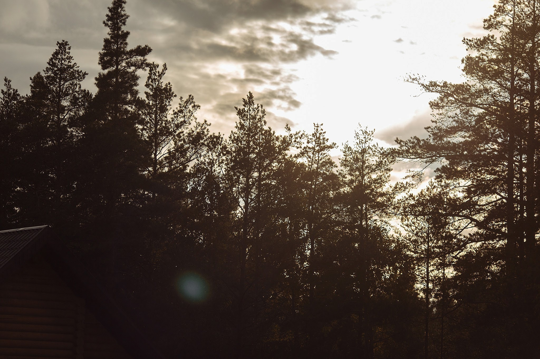 Светлана и Михаил. 30 сентября 2017. Чебоксары. Анонс свадьбы. Фотограф Игорь Цаплин