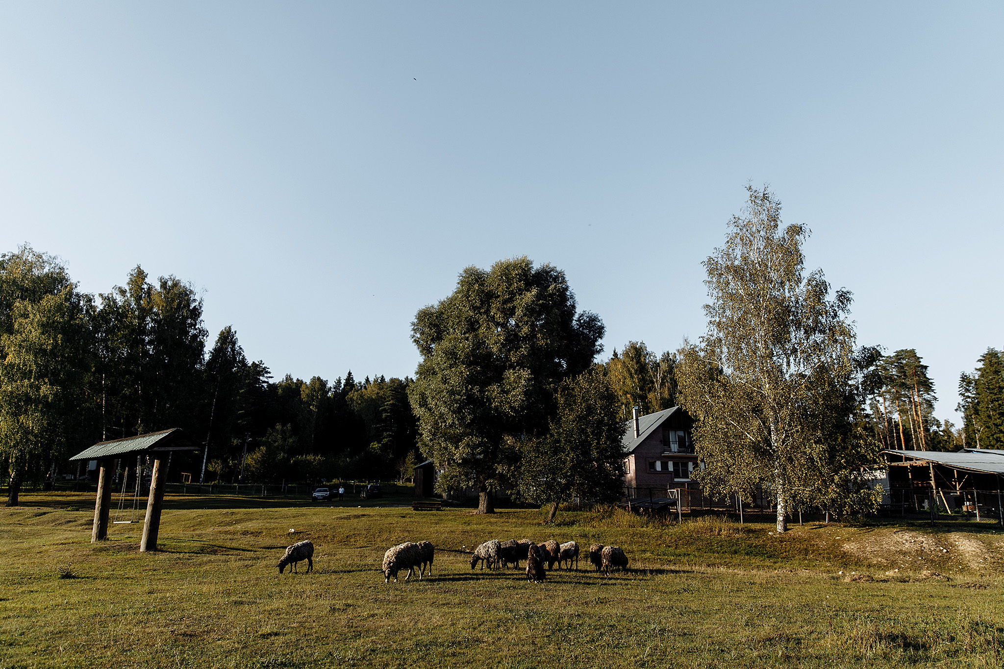Анонс свадьбы Антона и Варвары от 25 августа 2018. Фотограф Игорь Цаплин