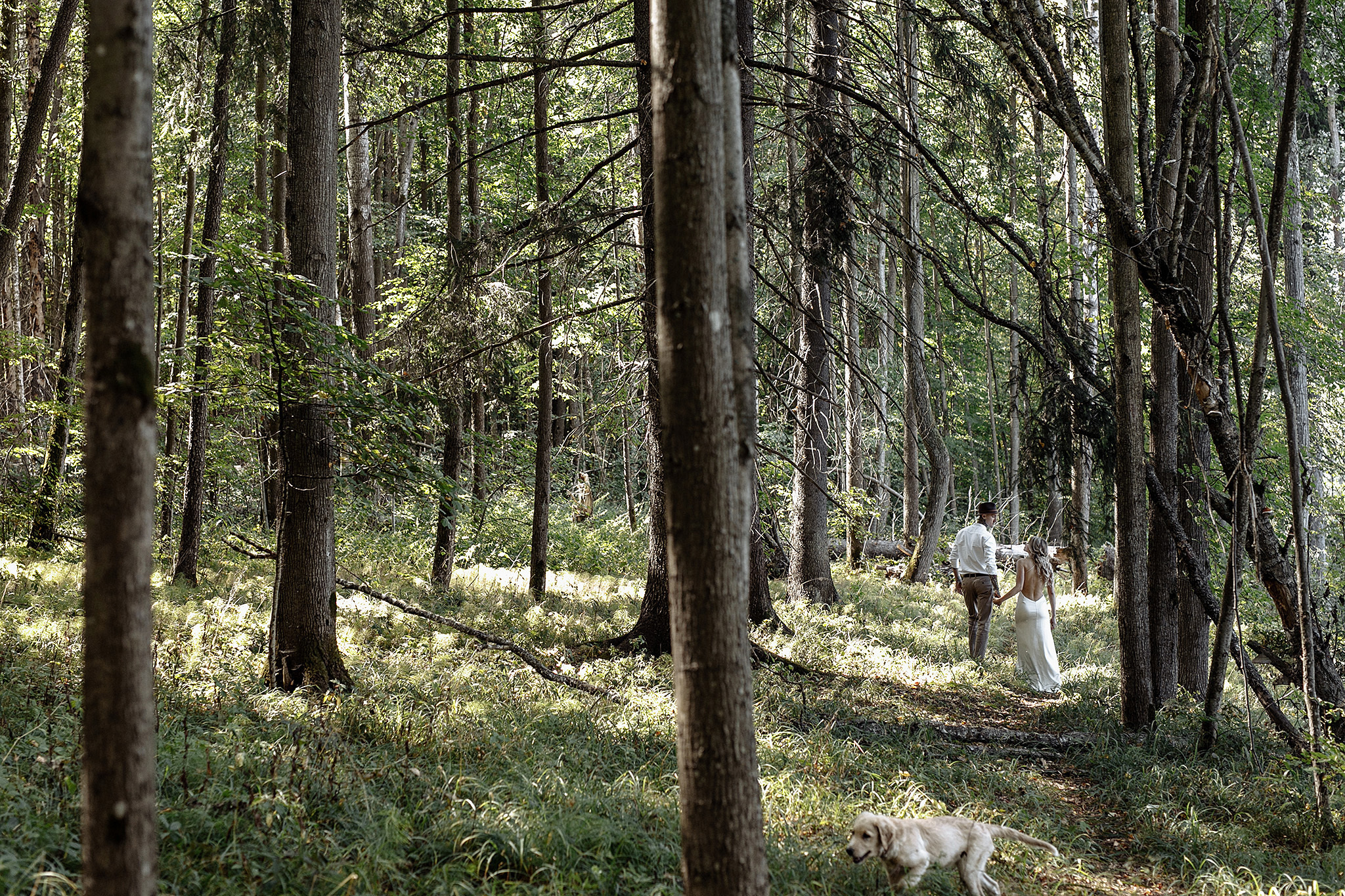 Анонс свадьбы Антона и Варвары от 25 августа 2018. Фотограф Игорь Цаплин