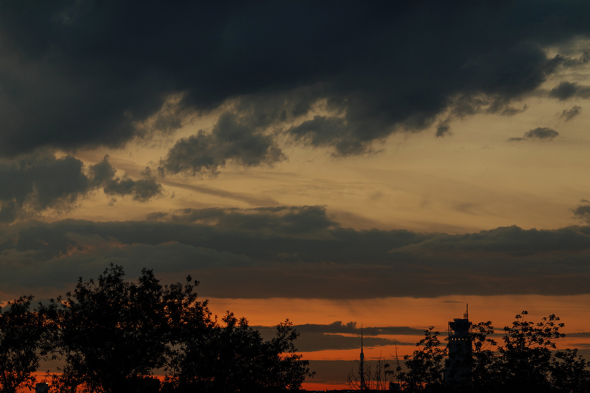 13 июля 2019. Анонс свадьбы. Фотограф Игорь Цаплин