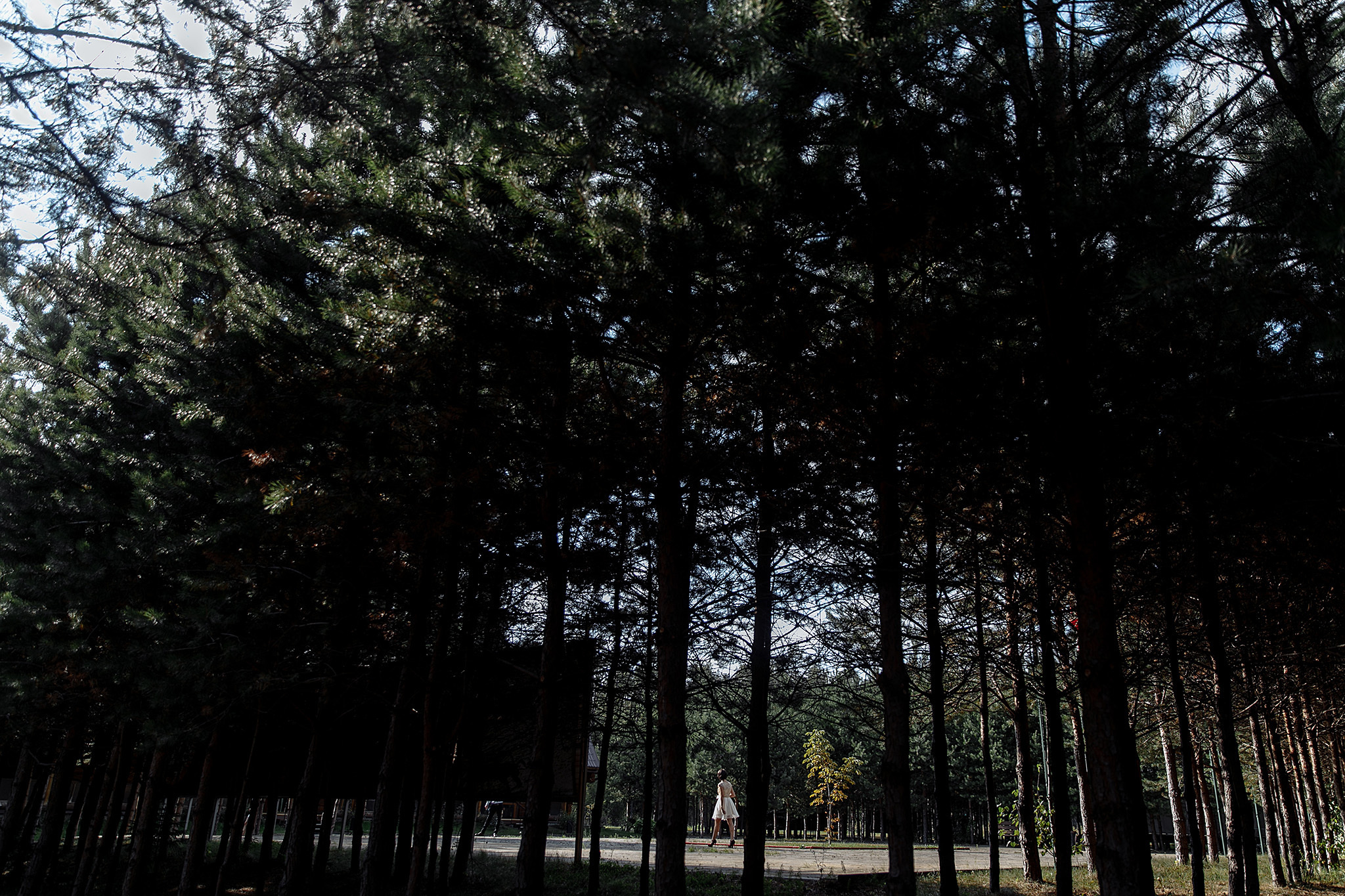 Анонс свадьба Марии и Сергея от 19 августа 2018. Фотограф Игорь Цаплин