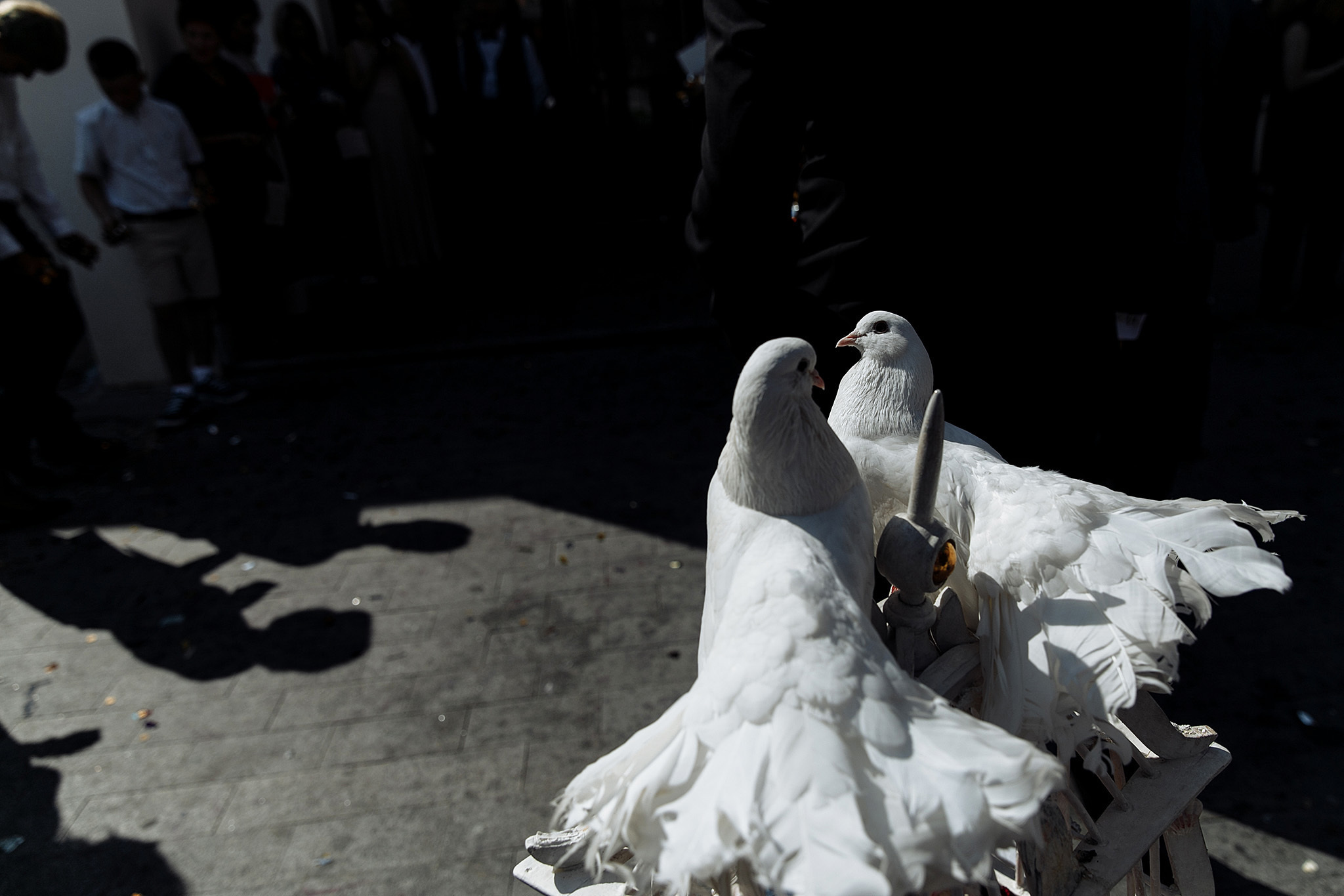 Александр Сергеевич Пушкин женился!!. Фотограф Игорь Цаплин