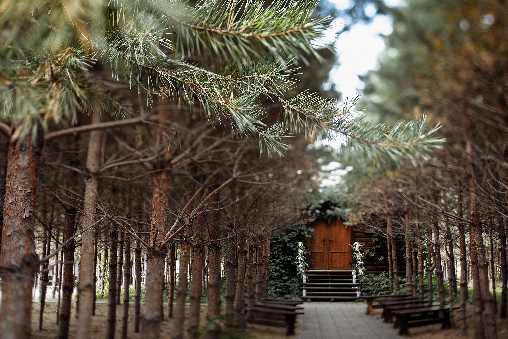 Анонс свадьба Марии и Сергея от 19 августа 2018. Фотограф Игорь Цаплин