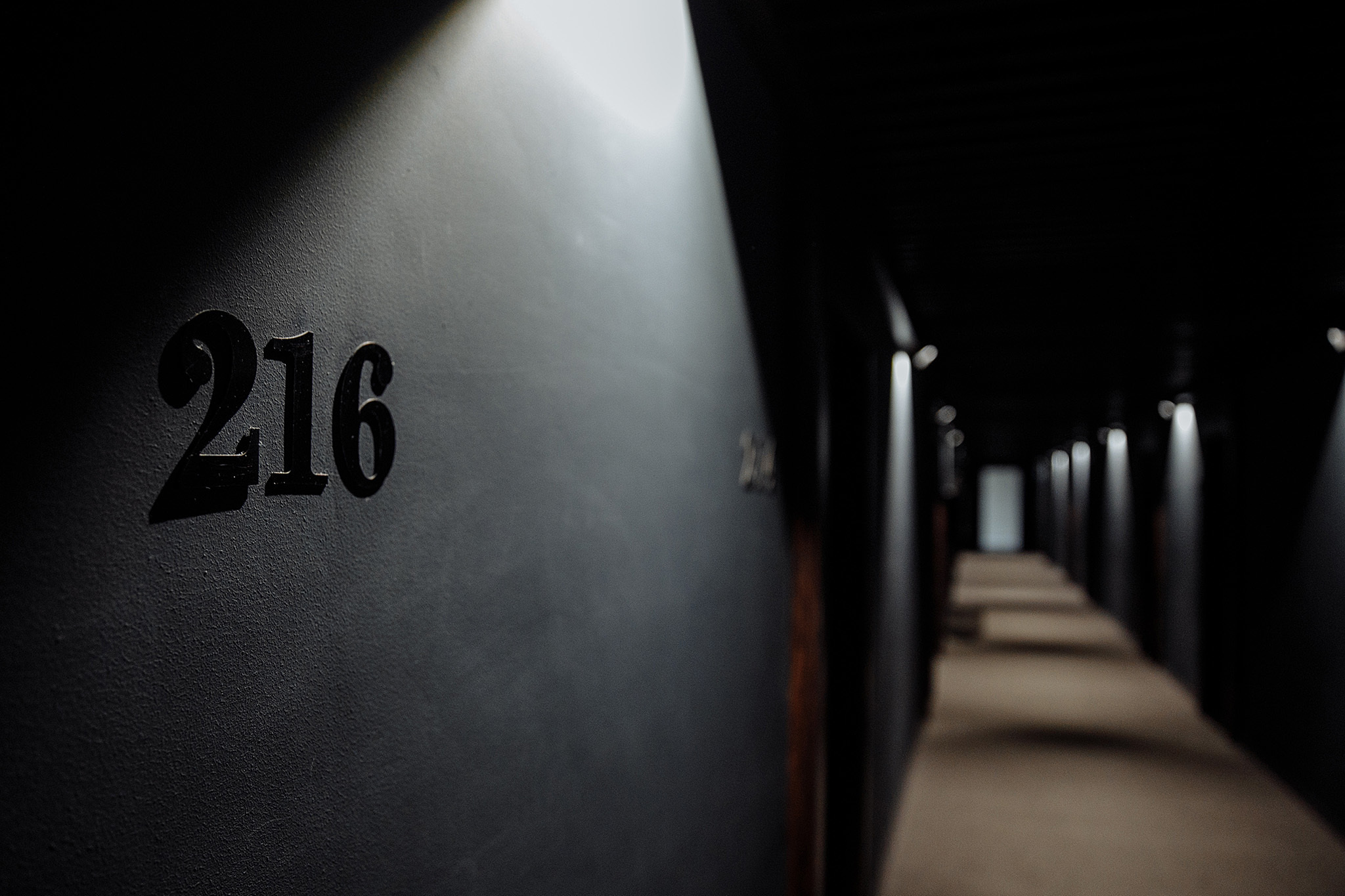 17 августа 2019. Анонс свадьбы. Фотограф Игорь Цаплин