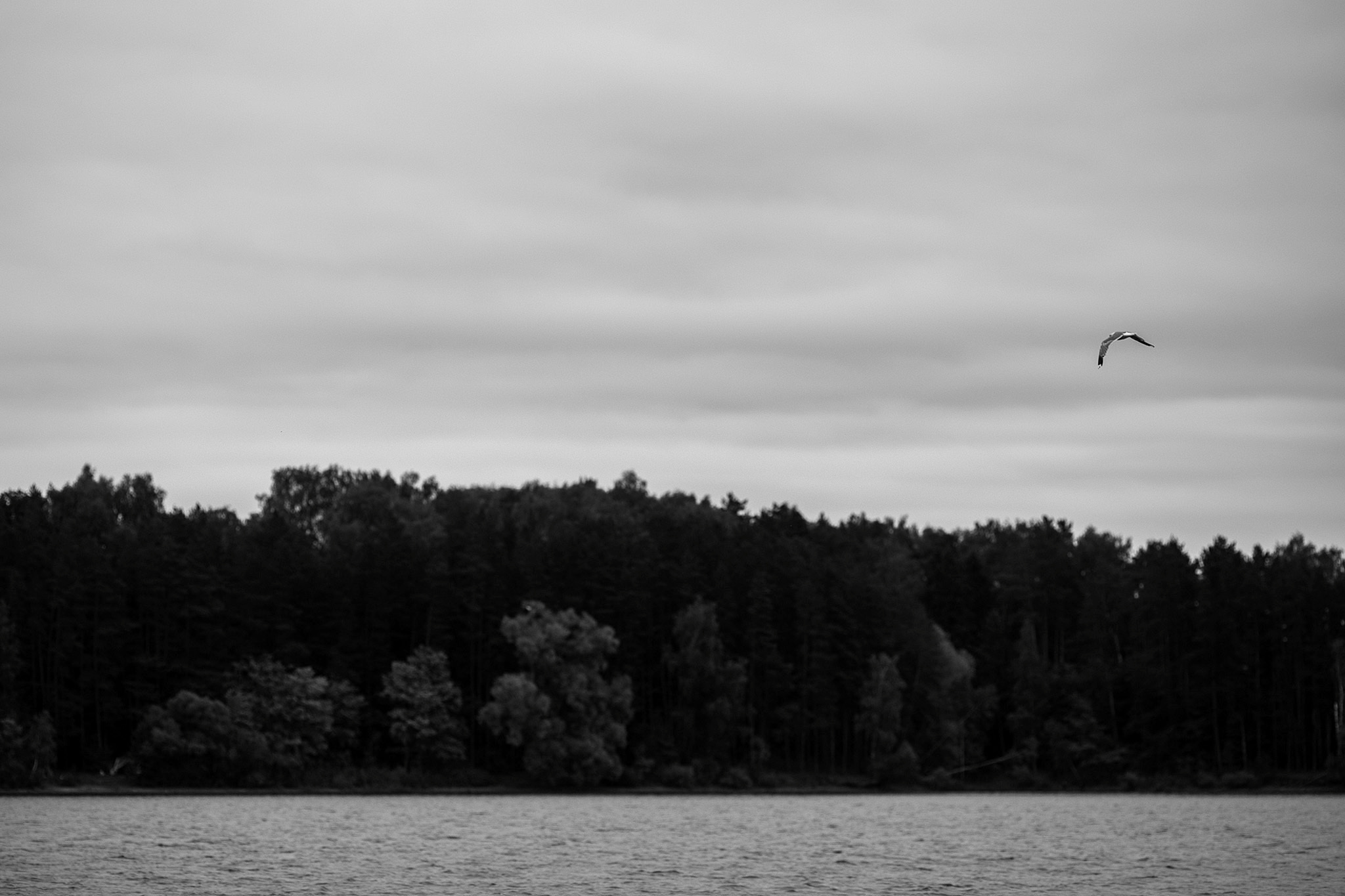 17 августа 2019. Анонс свадьбы. Фотограф Игорь Цаплин