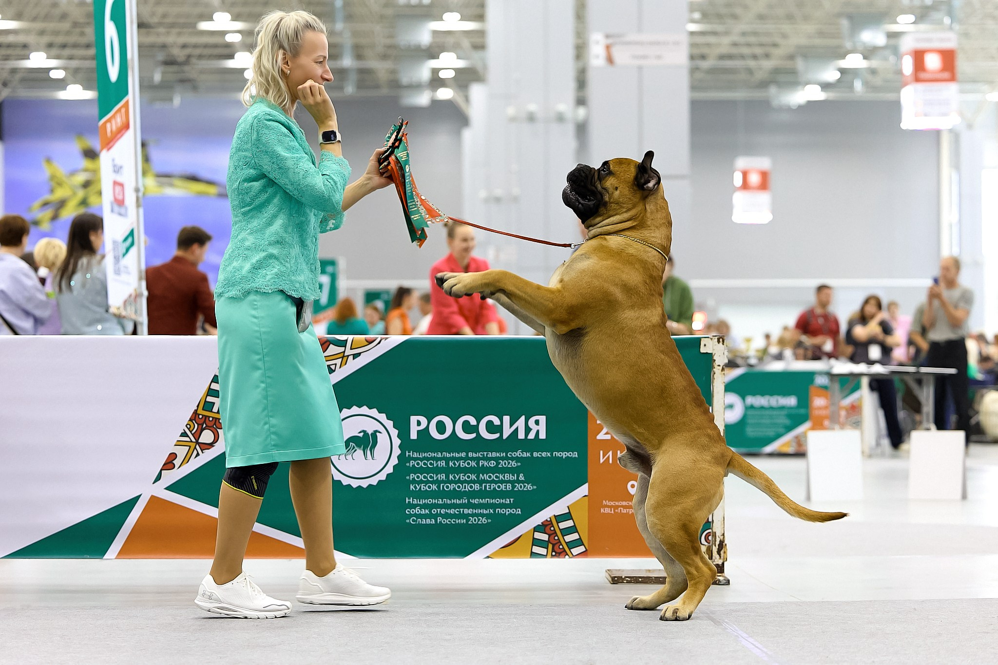 Фотограф-анималист Ирина Юсупова