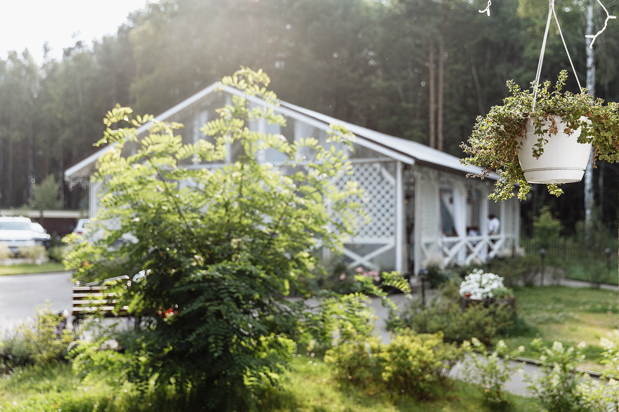 Анонс свадьбы Андрея и Ирины. 21 июля 2018. Фотограф Игорь Цаплин