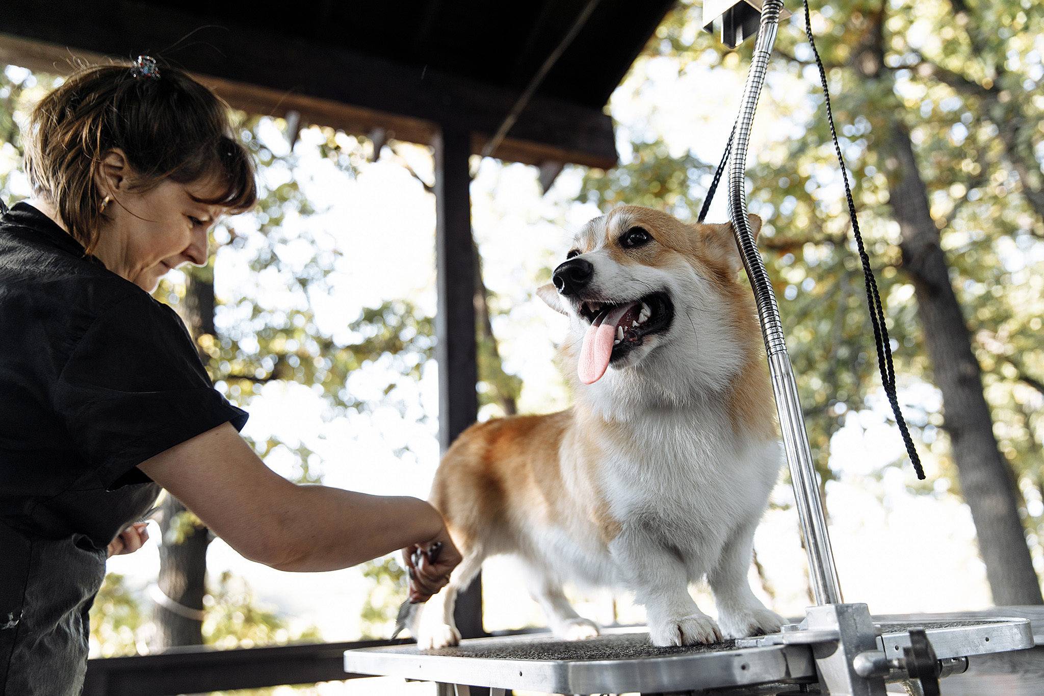 Сергей и Наталья. Анонс свадьбы от 23 сентября 2018. Самара. Фотограф Игорь Цаплин