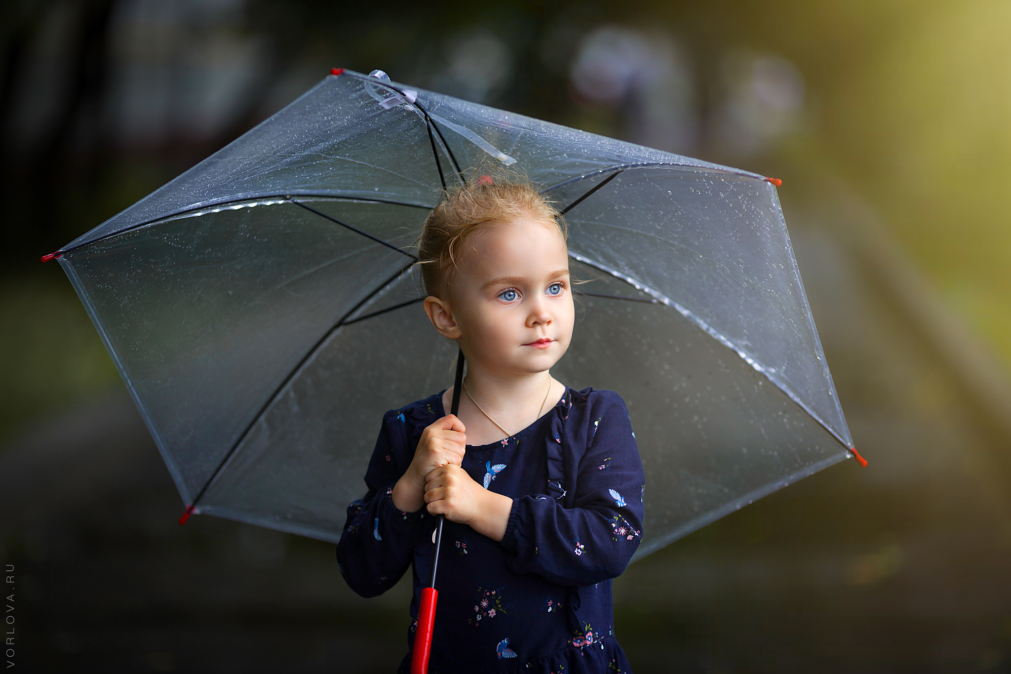 Летние фотосесии. Детский и семейный фотограф в Москве Вера Орлова