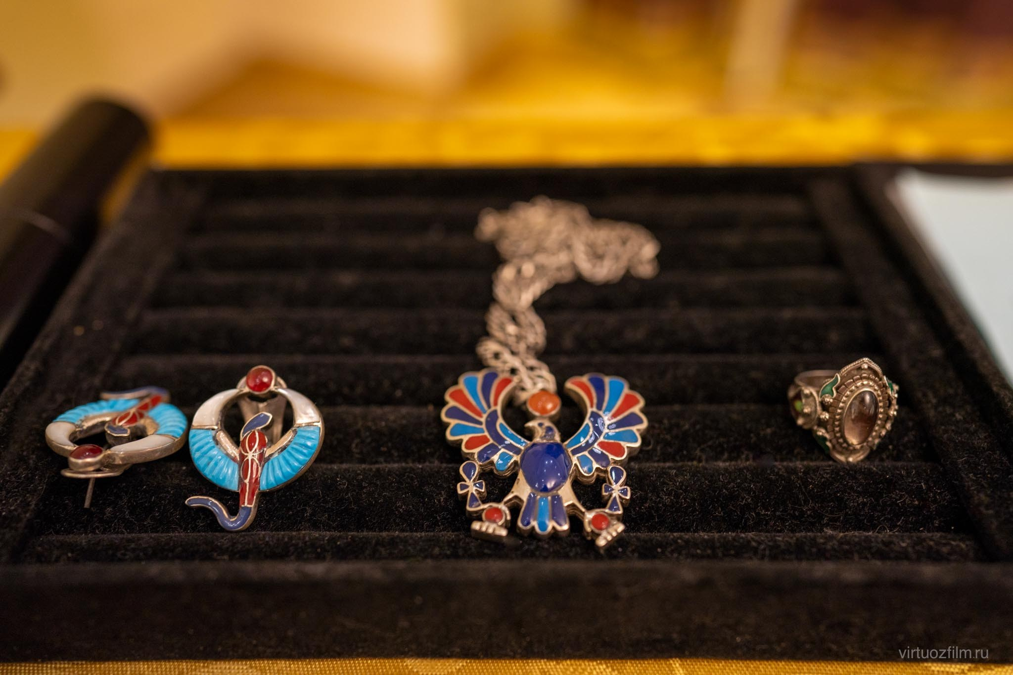 Съёмка творческой встречи с Андрэ Роллана