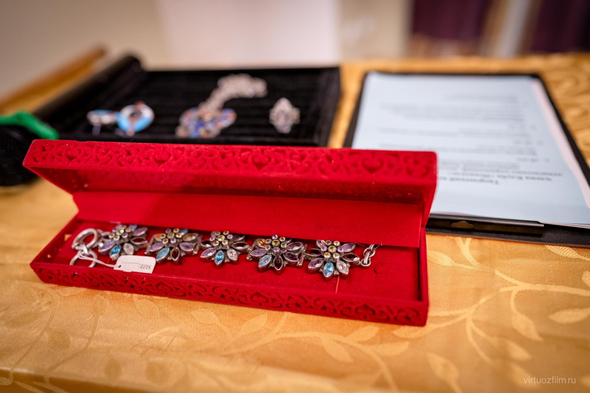 Съёмка творческой встречи с Андрэ Роллана