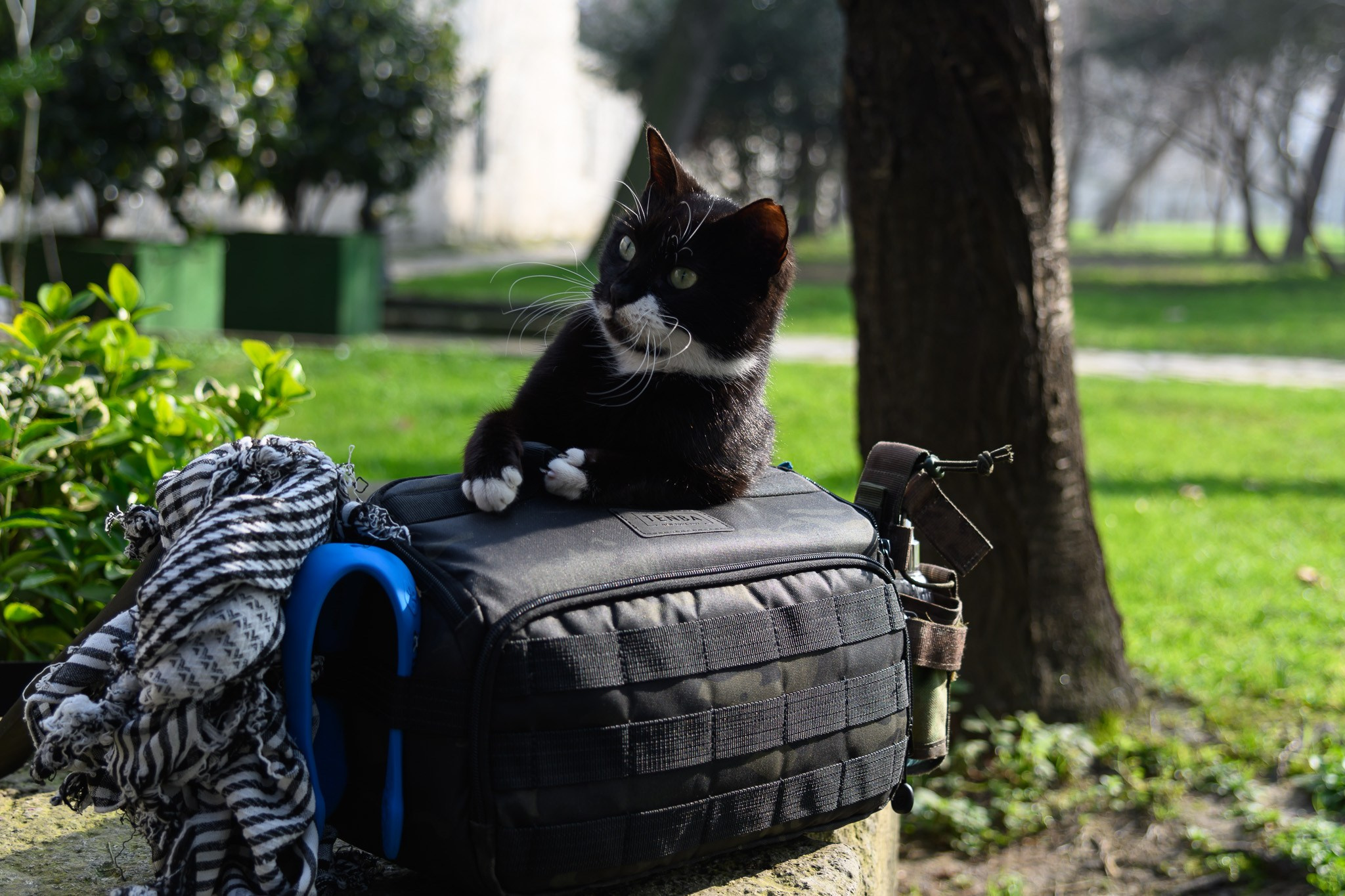 сотрудничество с фотоблогером