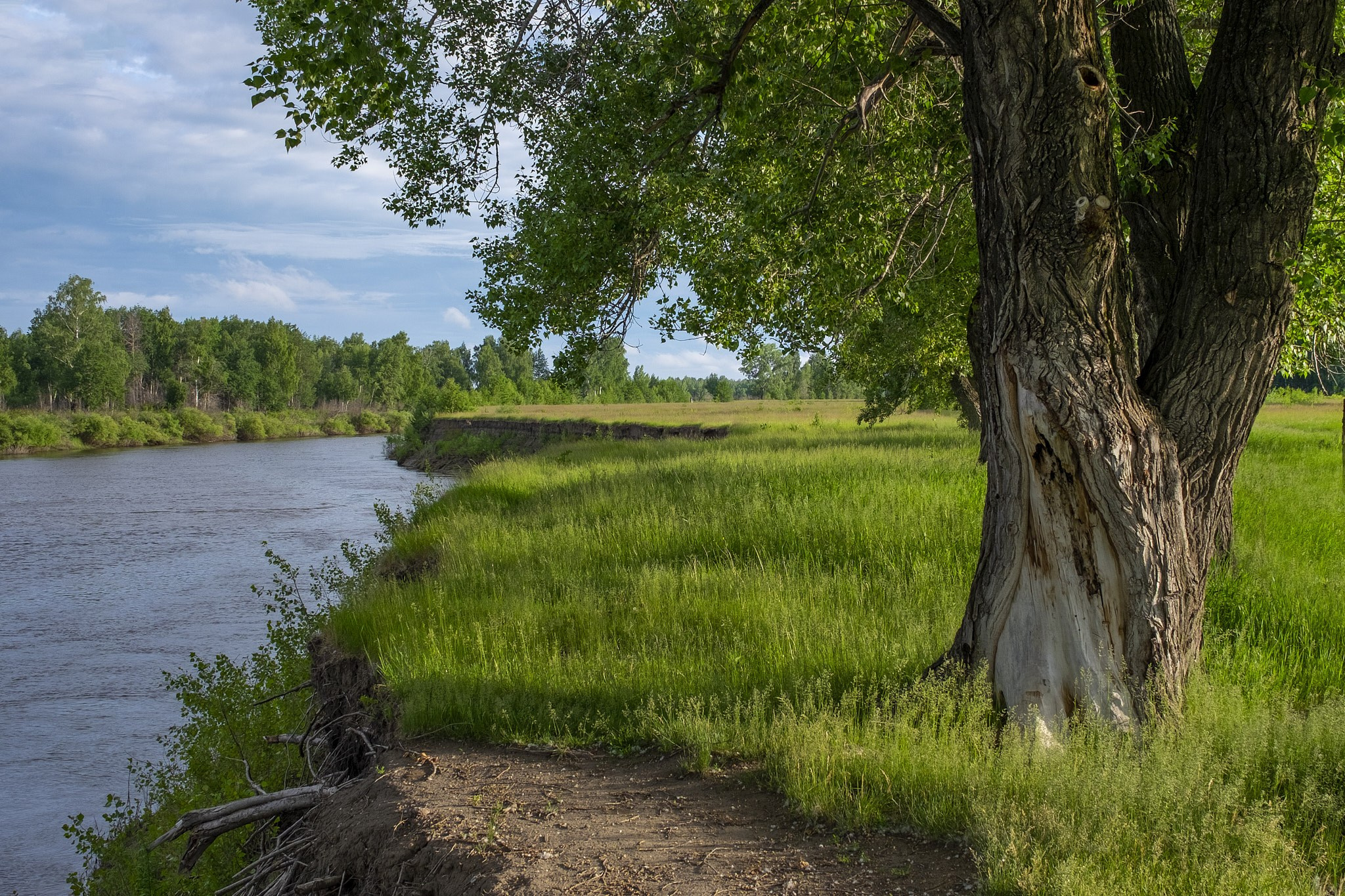 Природа. Главная