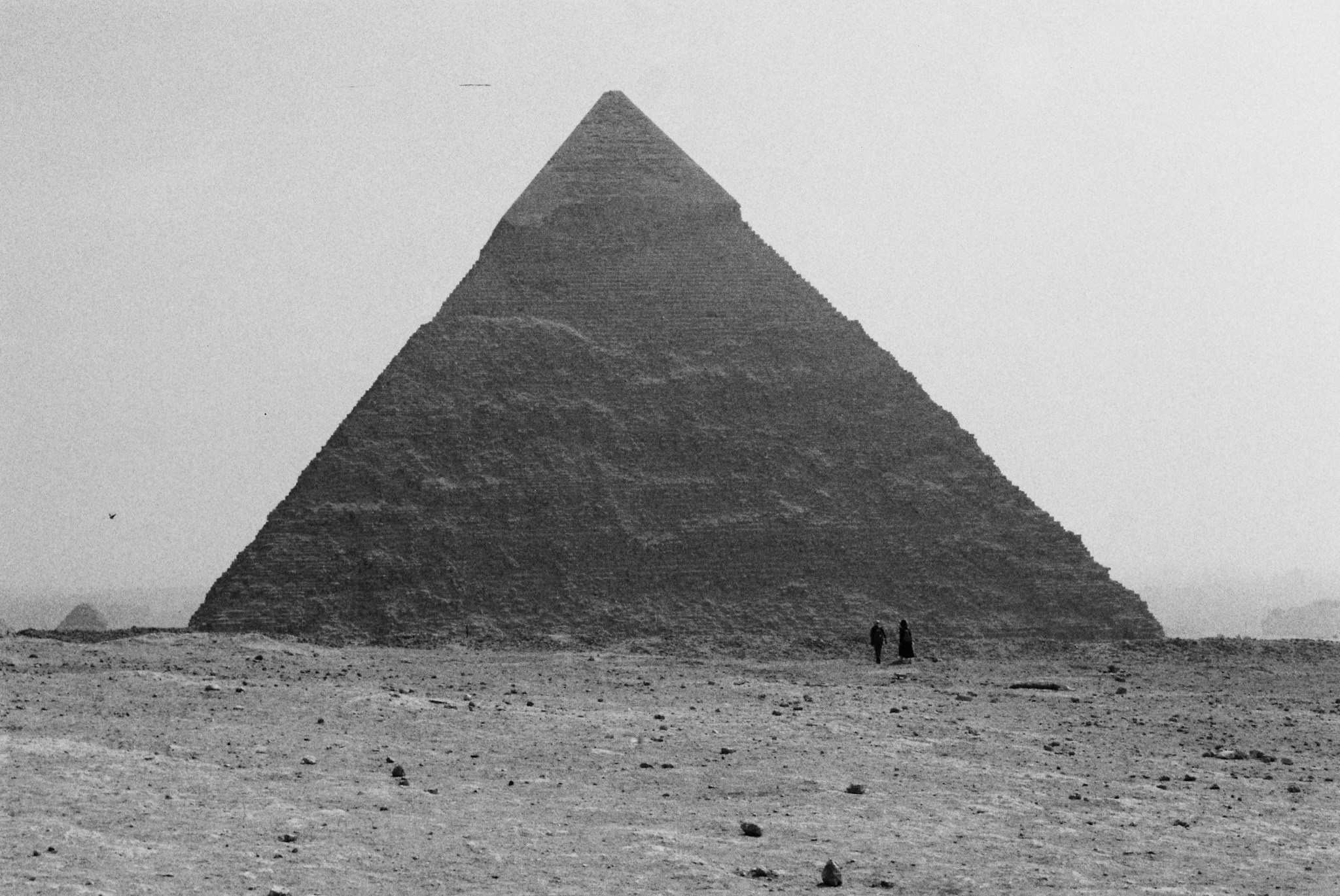 Бегун Элизабет. Организация фотовыставок в Петербурге и Москве, MFamilia (МФамилия)