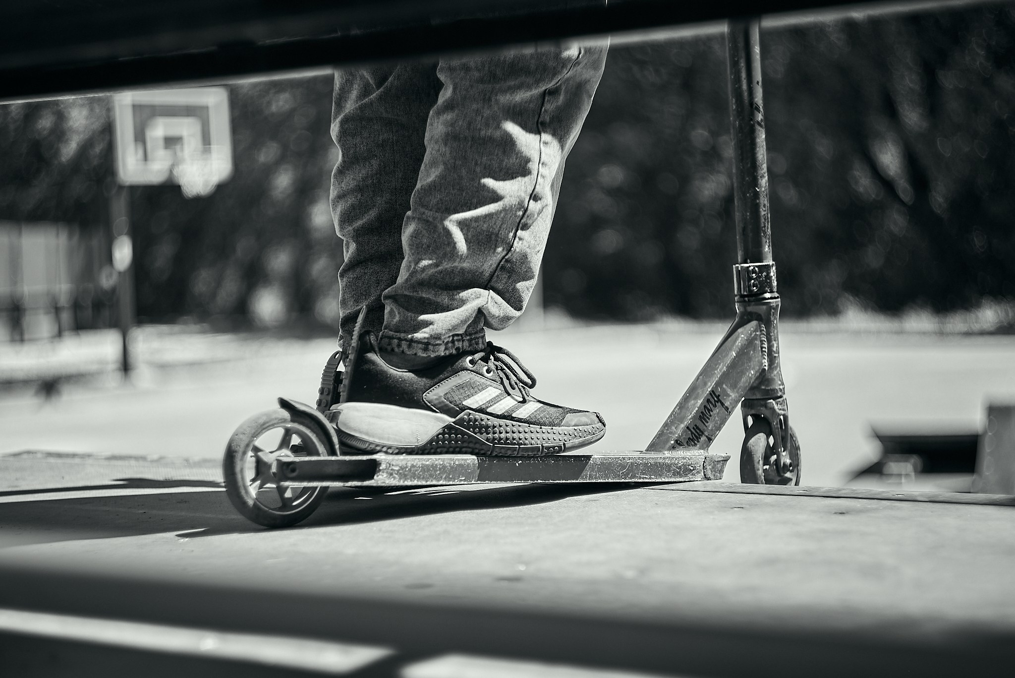 Nikon D850+Helios 44-2 2/58