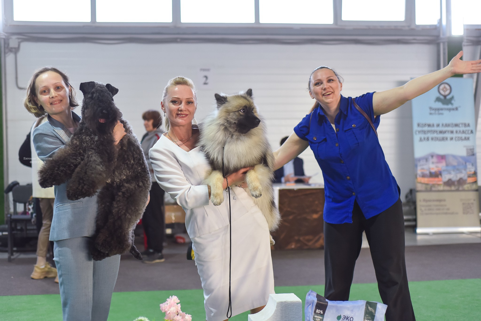 ✅ О СЕБЕ. Фотограф анималист Елена Галдина г. Красноярск