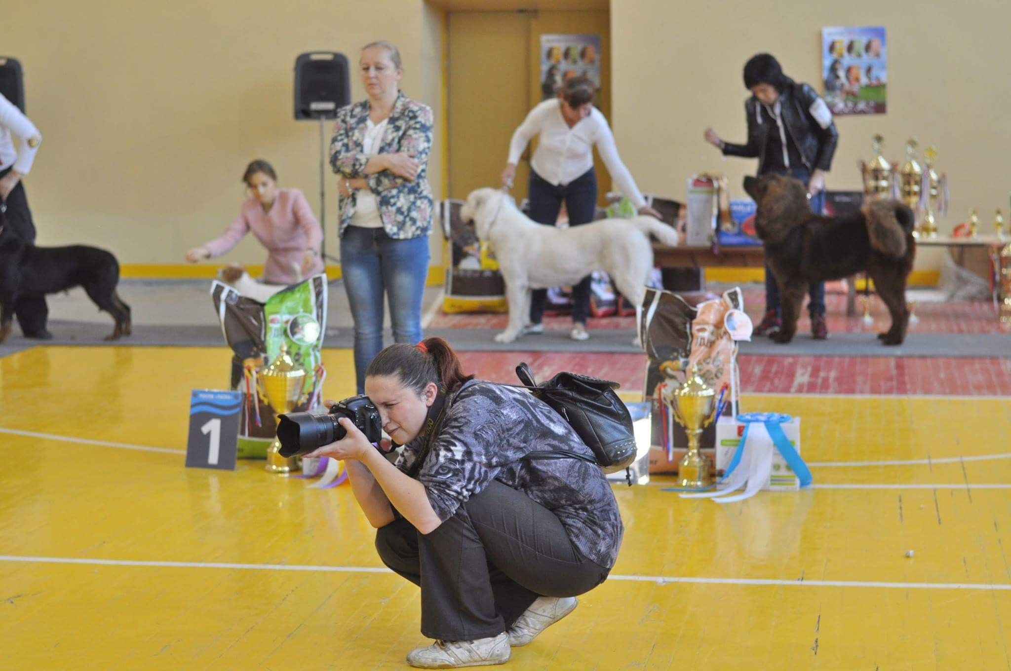 ✅ О СЕБЕ. Фотограф анималист Елена Галдина г. Красноярск